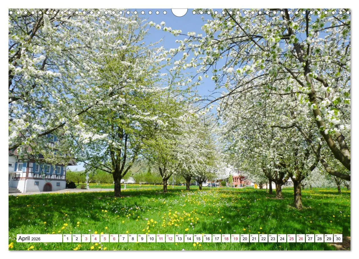 Bild: 9783457778494 | Idyllischer Schwarzwald (Wandkalender 2026 DIN A3 quer), CALVENDO...