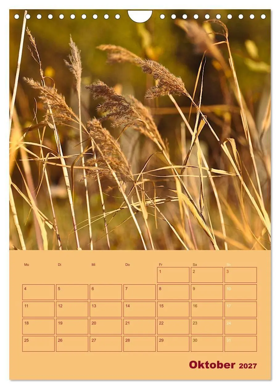 Bild: 9783594088494 | Wald- und Wiesenkalender 2027 Planer (Wandkalender 2027 DIN A4...