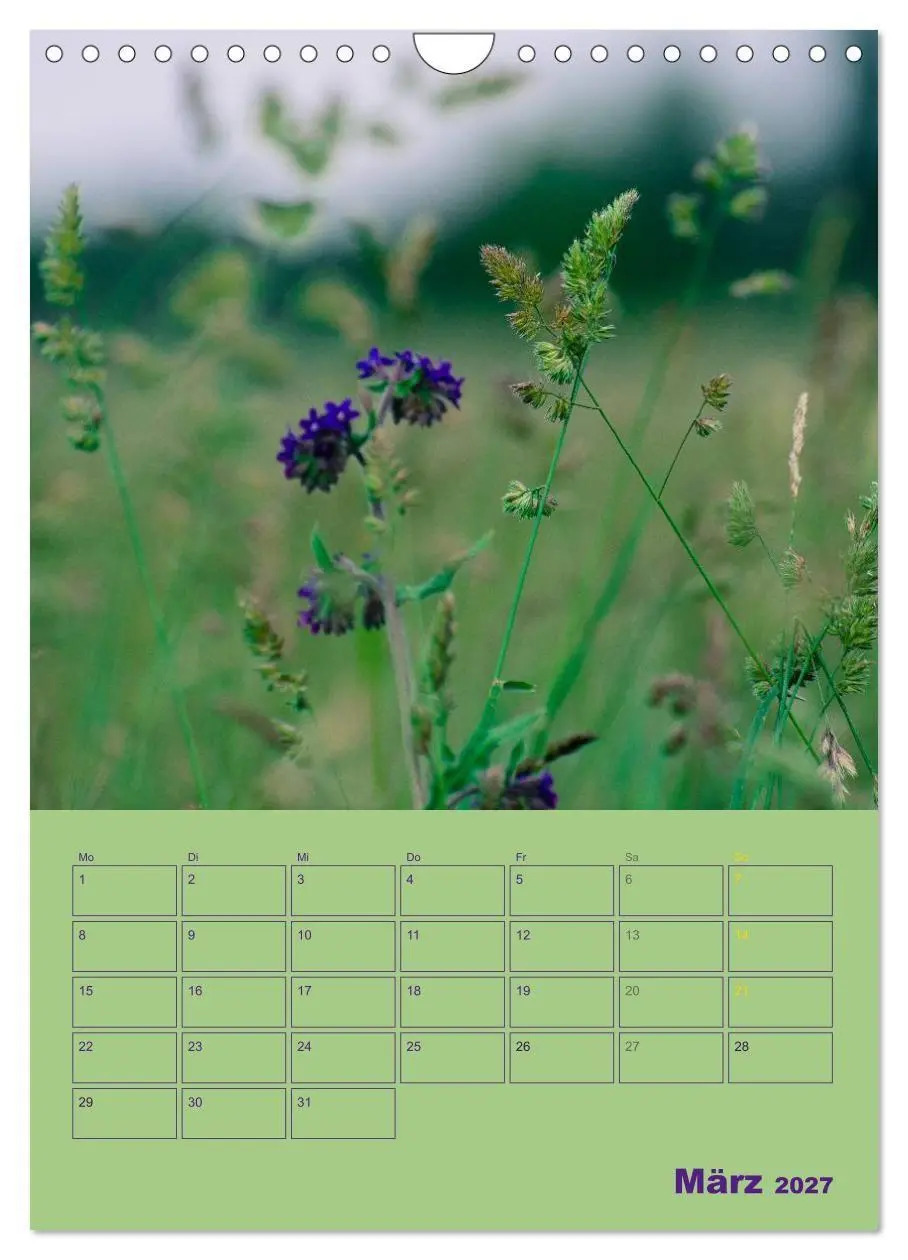 Bild: 9783594088494 | Wald- und Wiesenkalender 2027 Planer (Wandkalender 2027 DIN A4...