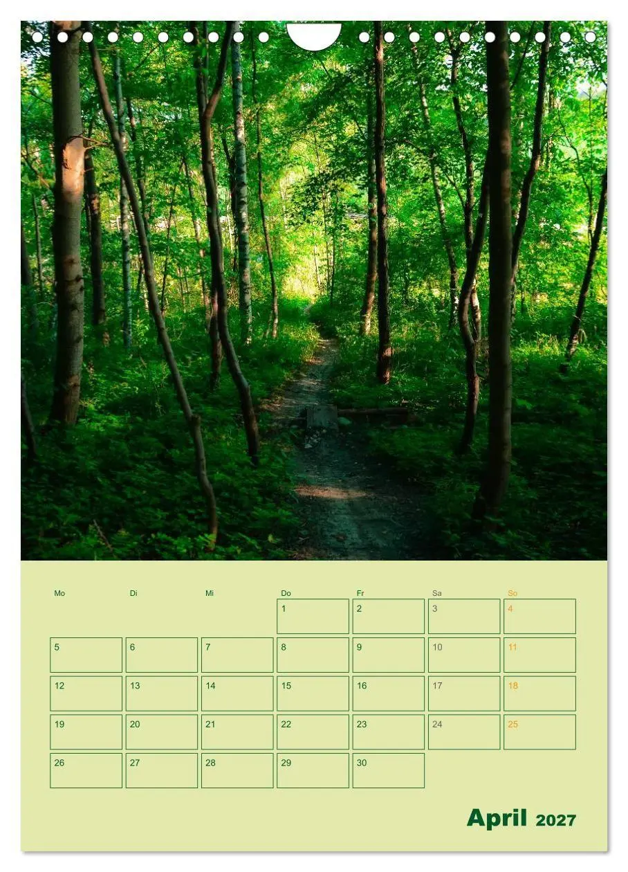 Bild: 9783594088494 | Wald- und Wiesenkalender 2027 Planer (Wandkalender 2027 DIN A4...