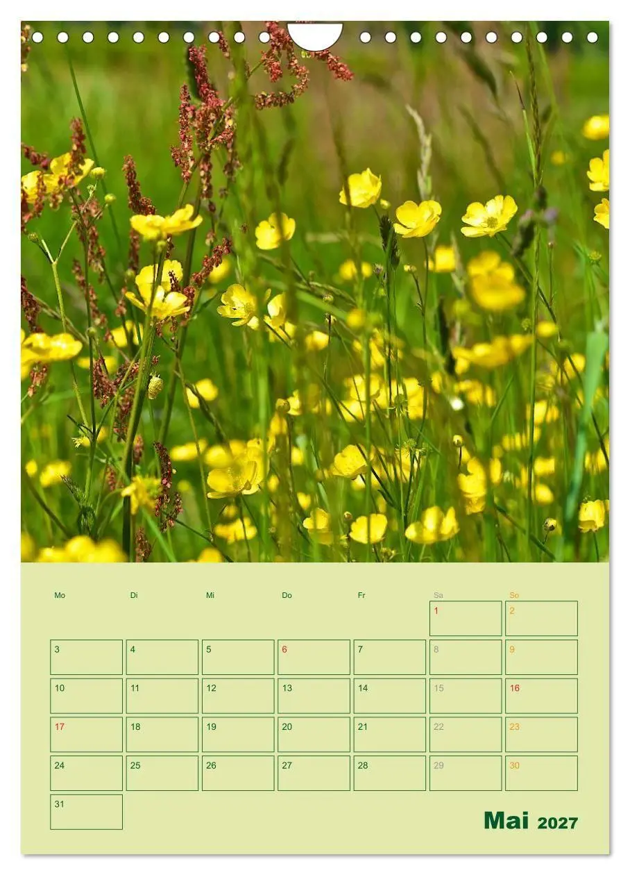 Bild: 9783594088494 | Wald- und Wiesenkalender 2027 Planer (Wandkalender 2027 DIN A4...