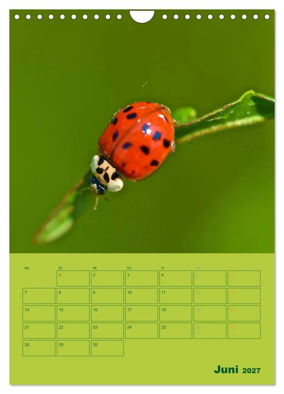 Bild: 9783594088494 | Wald- und Wiesenkalender 2027 Planer (Wandkalender 2027 DIN A4...
