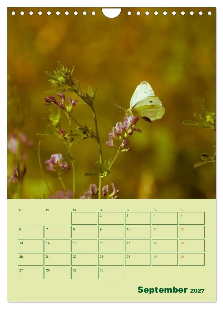 Bild: 9783594088494 | Wald- und Wiesenkalender 2027 Planer (Wandkalender 2027 DIN A4...