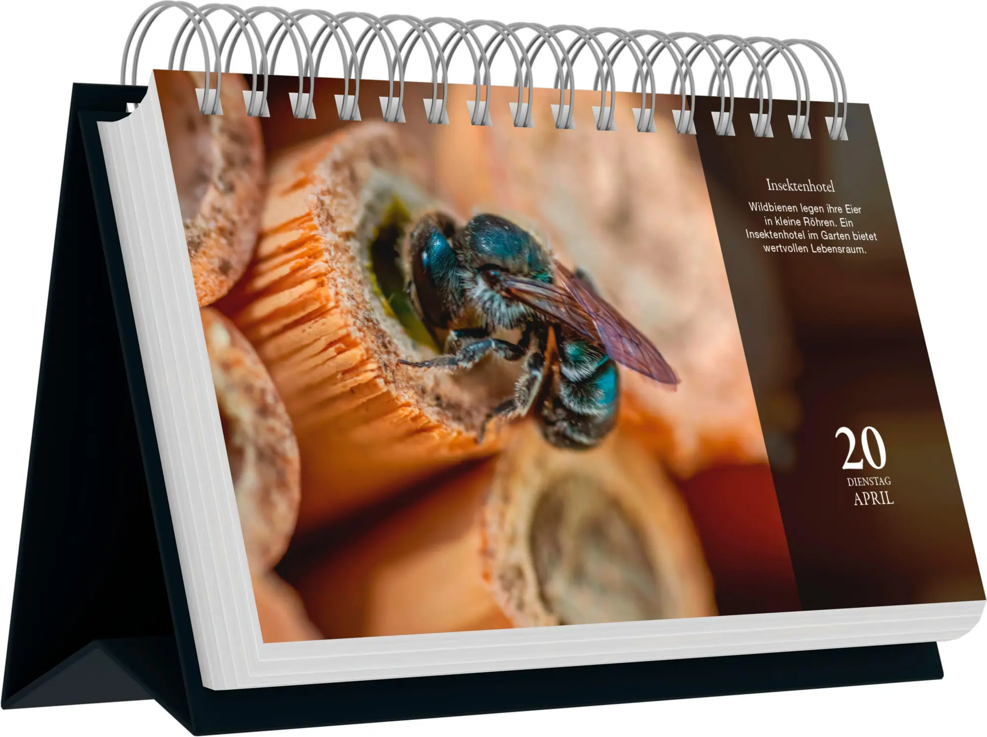 Bild: 4069095018594 | Zauberhafte Gärten 2027 | Neumann Verlage GmbH &amp; Co KG | Kalender