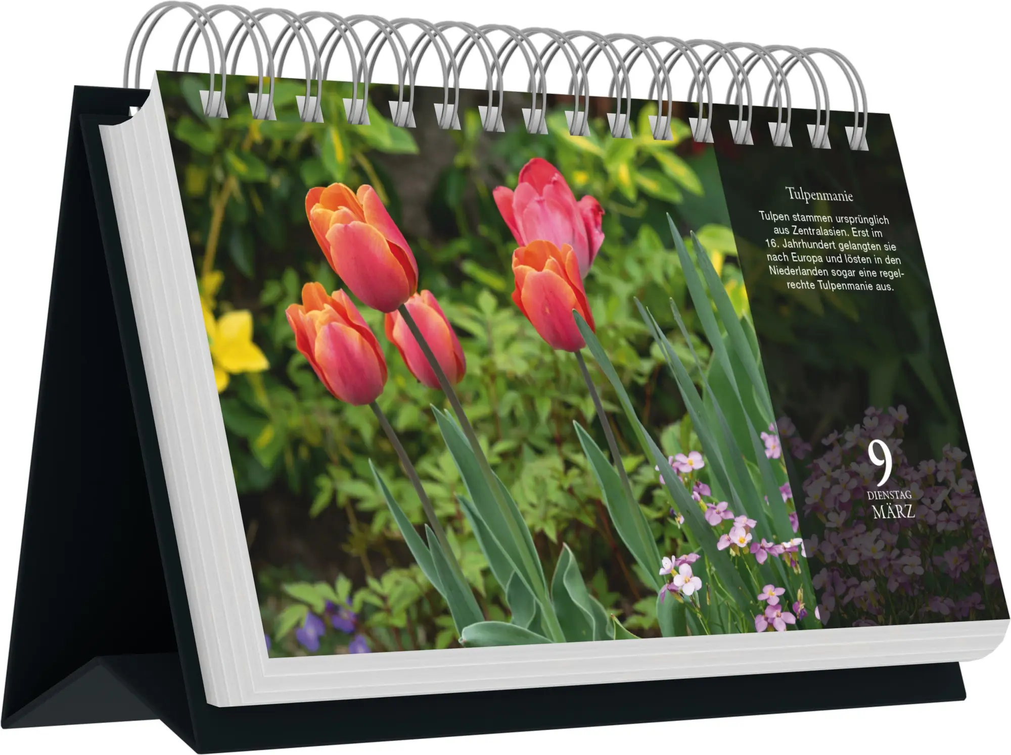 Bild: 4069095018594 | Zauberhafte Gärten 2027 | Neumann Verlage GmbH &amp; Co KG | Kalender