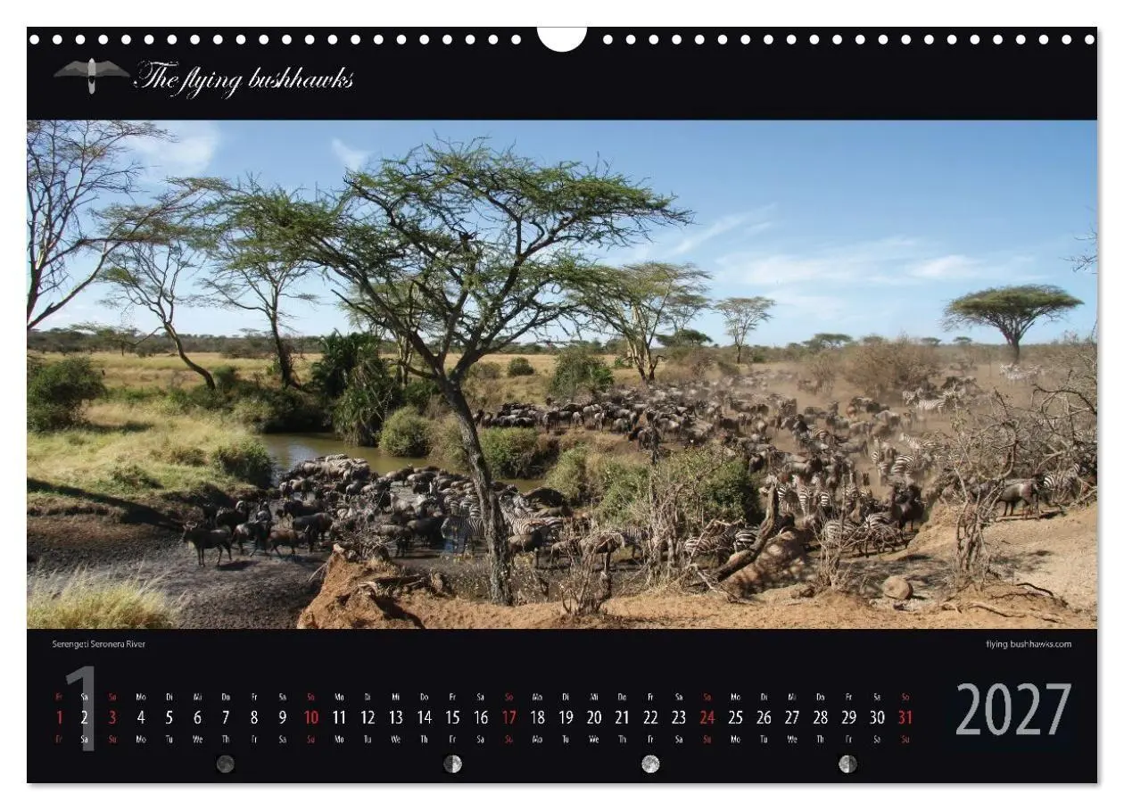 Bild: 9783516788594 | Tansania Blickwinkel 2027 (Wandkalender 2027 DIN A3 quer), CALVENDO...