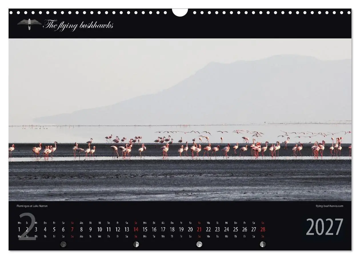 Bild: 9783516788594 | Tansania Blickwinkel 2027 (Wandkalender 2027 DIN A3 quer), CALVENDO...