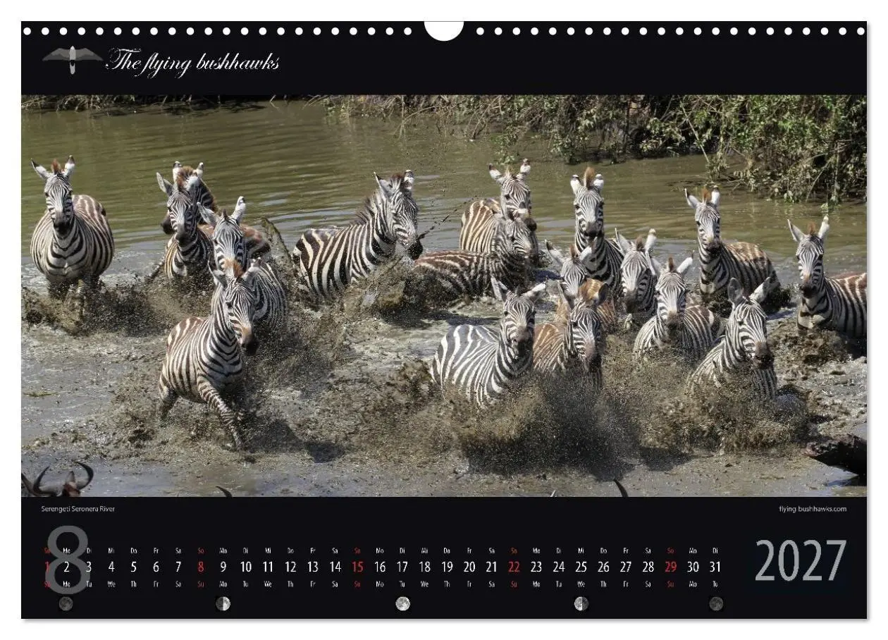 Bild: 9783516788594 | Tansania Blickwinkel 2027 (Wandkalender 2027 DIN A3 quer), CALVENDO...
