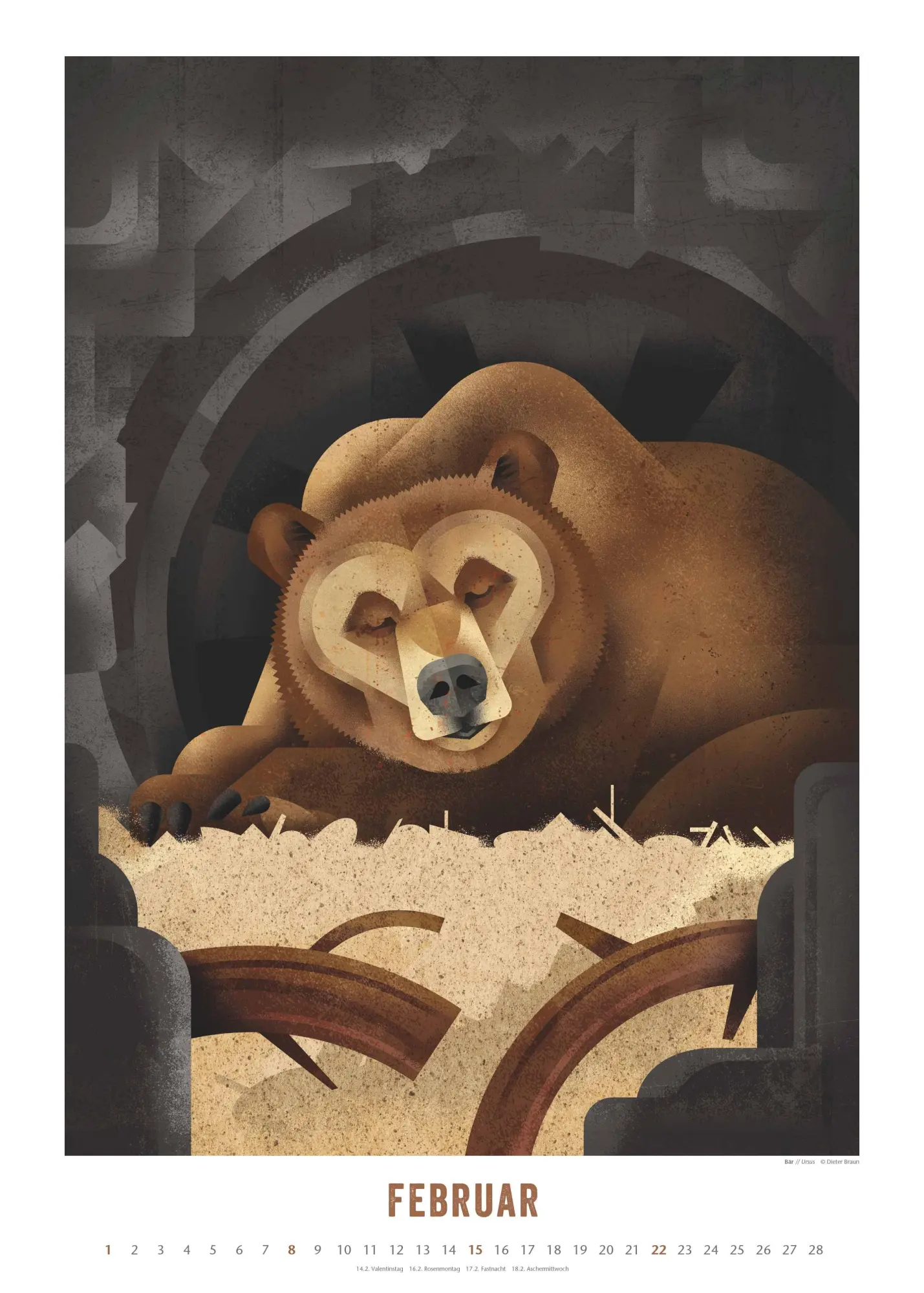 Bild: 4069095008694 | Dieter Braun: Die Welt der Tiere 2026 - Wandkalender - Format 50x70 cm