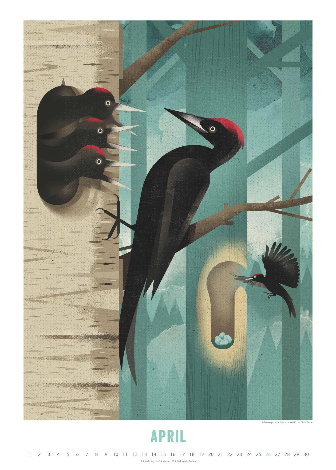 Bild: 4069095008694 | Dieter Braun: Die Welt der Tiere 2026 - Wandkalender - Format 50x70 cm