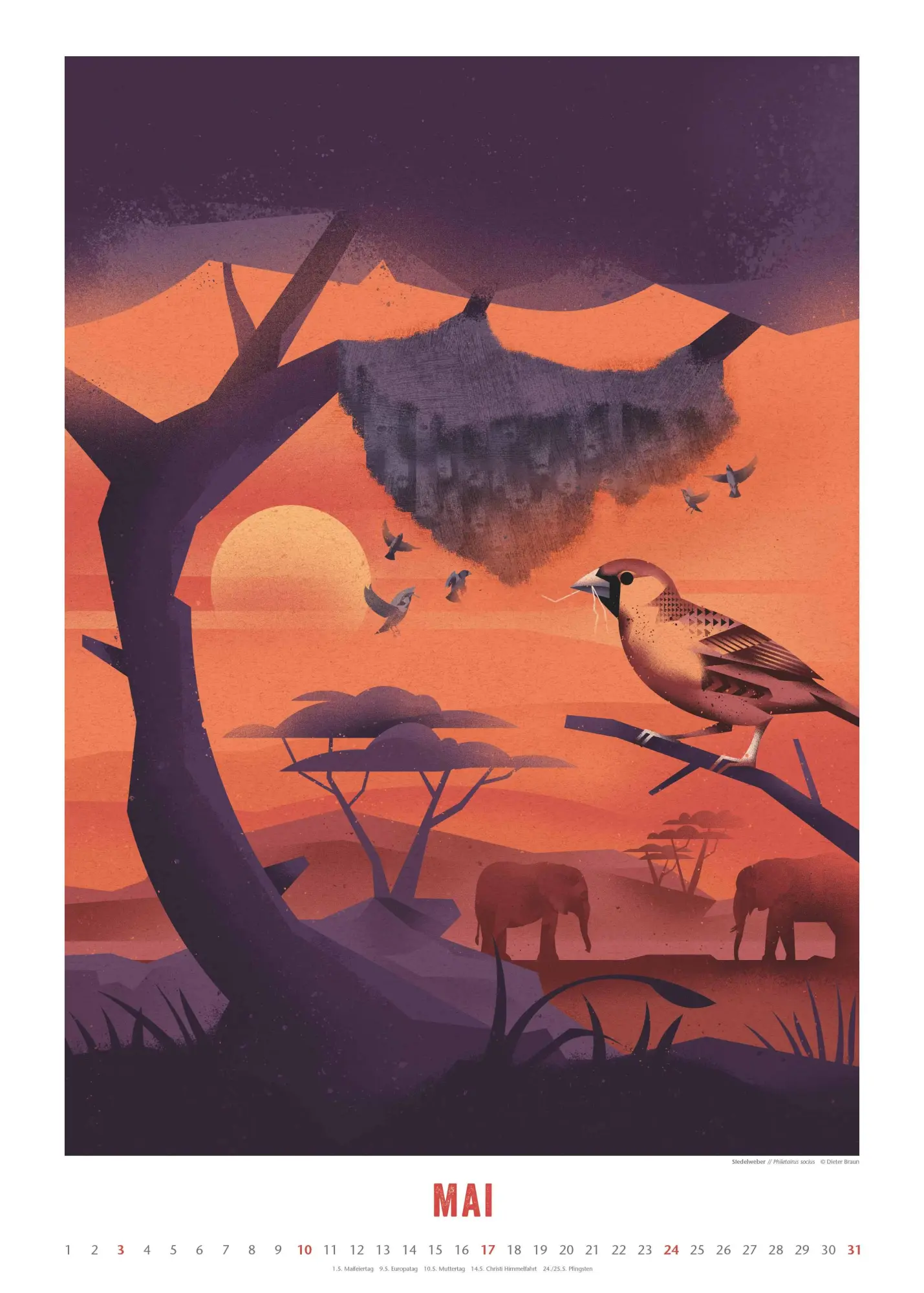 Bild: 4069095008694 | Dieter Braun: Die Welt der Tiere 2026 - Wandkalender - Format 50x70 cm