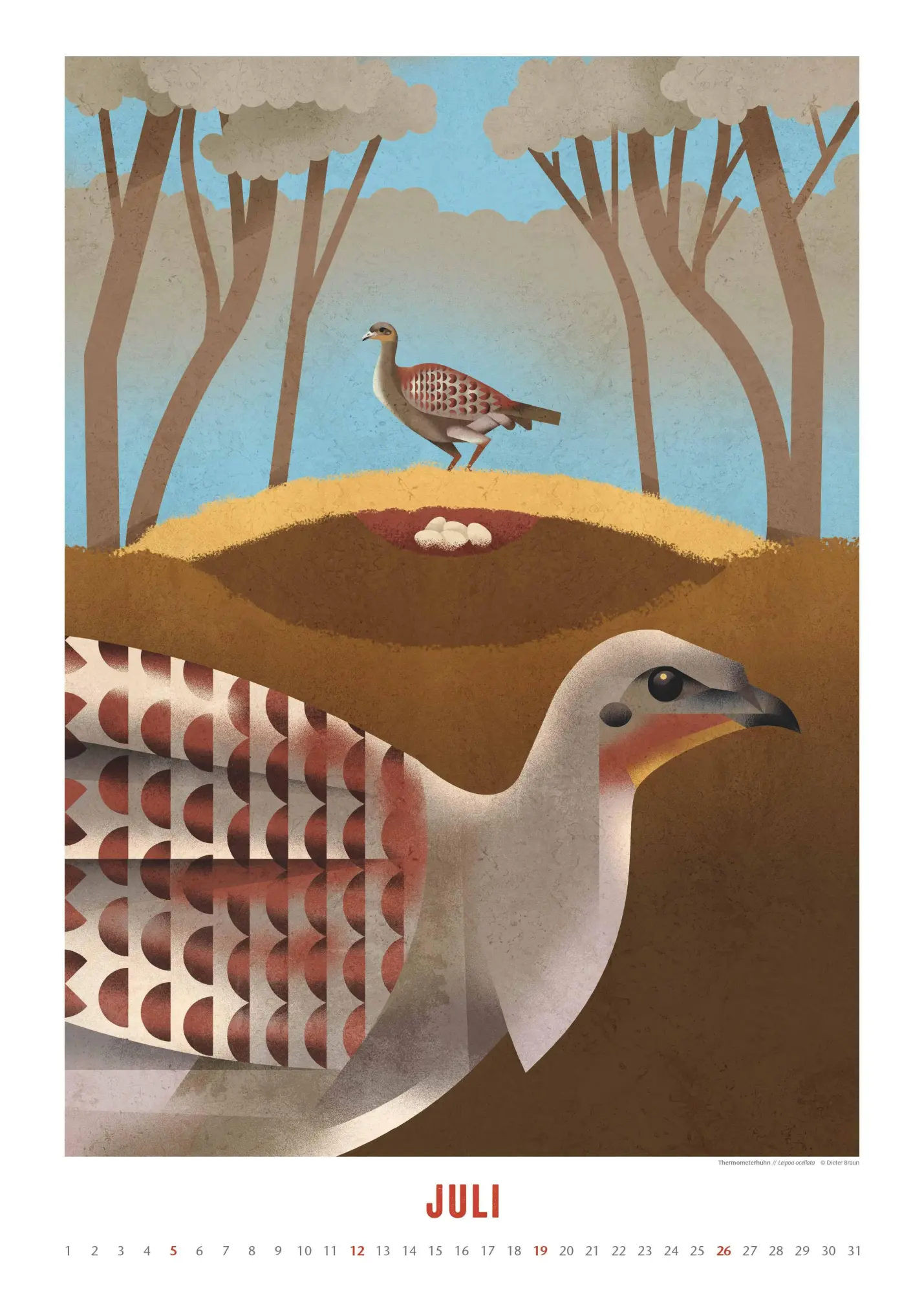 Bild: 4069095008694 | Dieter Braun: Die Welt der Tiere 2026 - Wandkalender - Format 50x70 cm