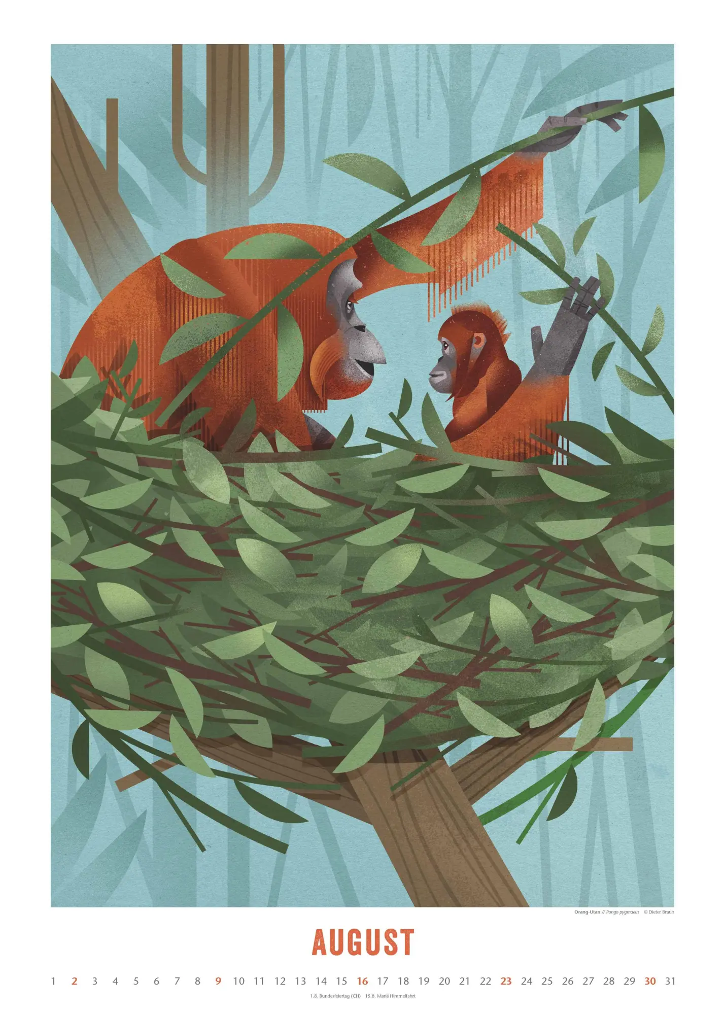 Bild: 4069095008694 | Dieter Braun: Die Welt der Tiere 2026 - Wandkalender - Format 50x70 cm