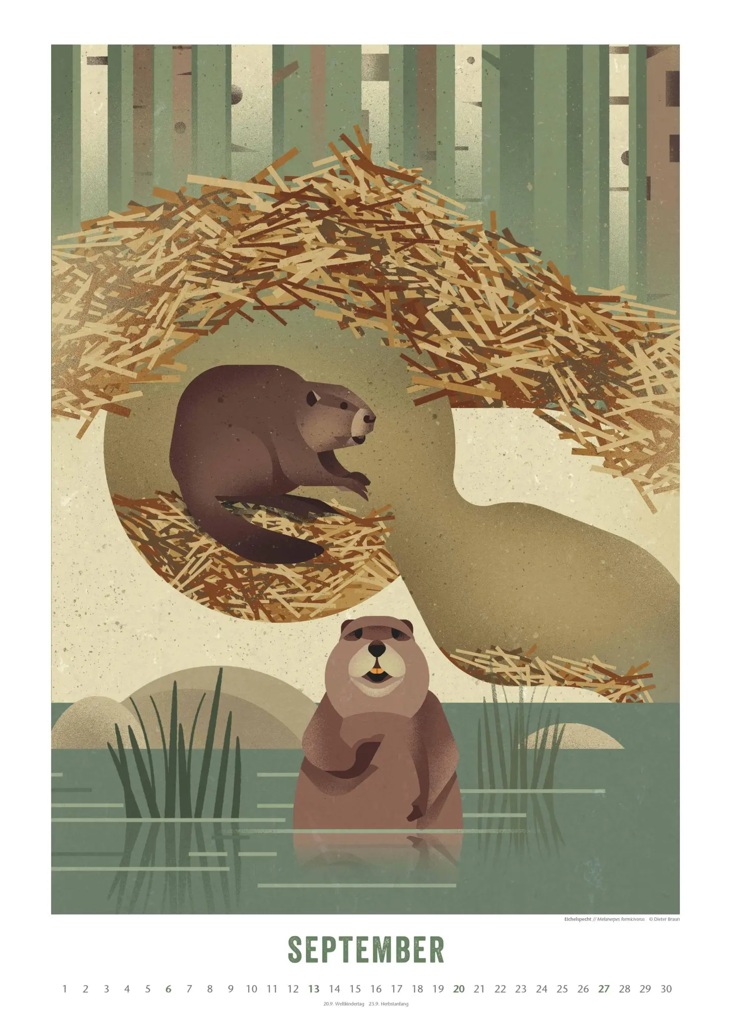 Bild: 4069095008694 | Dieter Braun: Die Welt der Tiere 2026 - Wandkalender - Format 50x70 cm