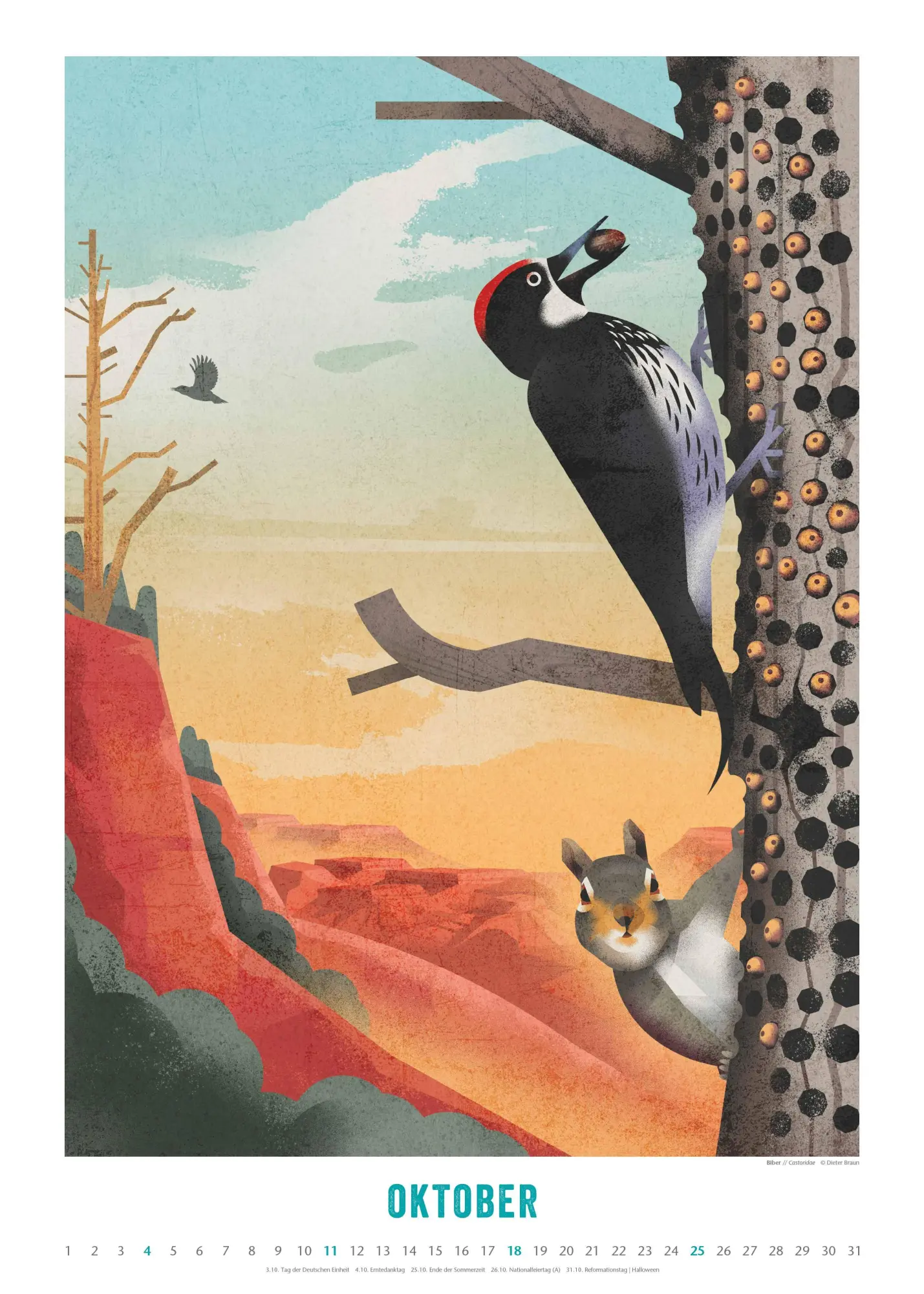 Bild: 4069095008694 | Dieter Braun: Die Welt der Tiere 2026 - Wandkalender - Format 50x70 cm