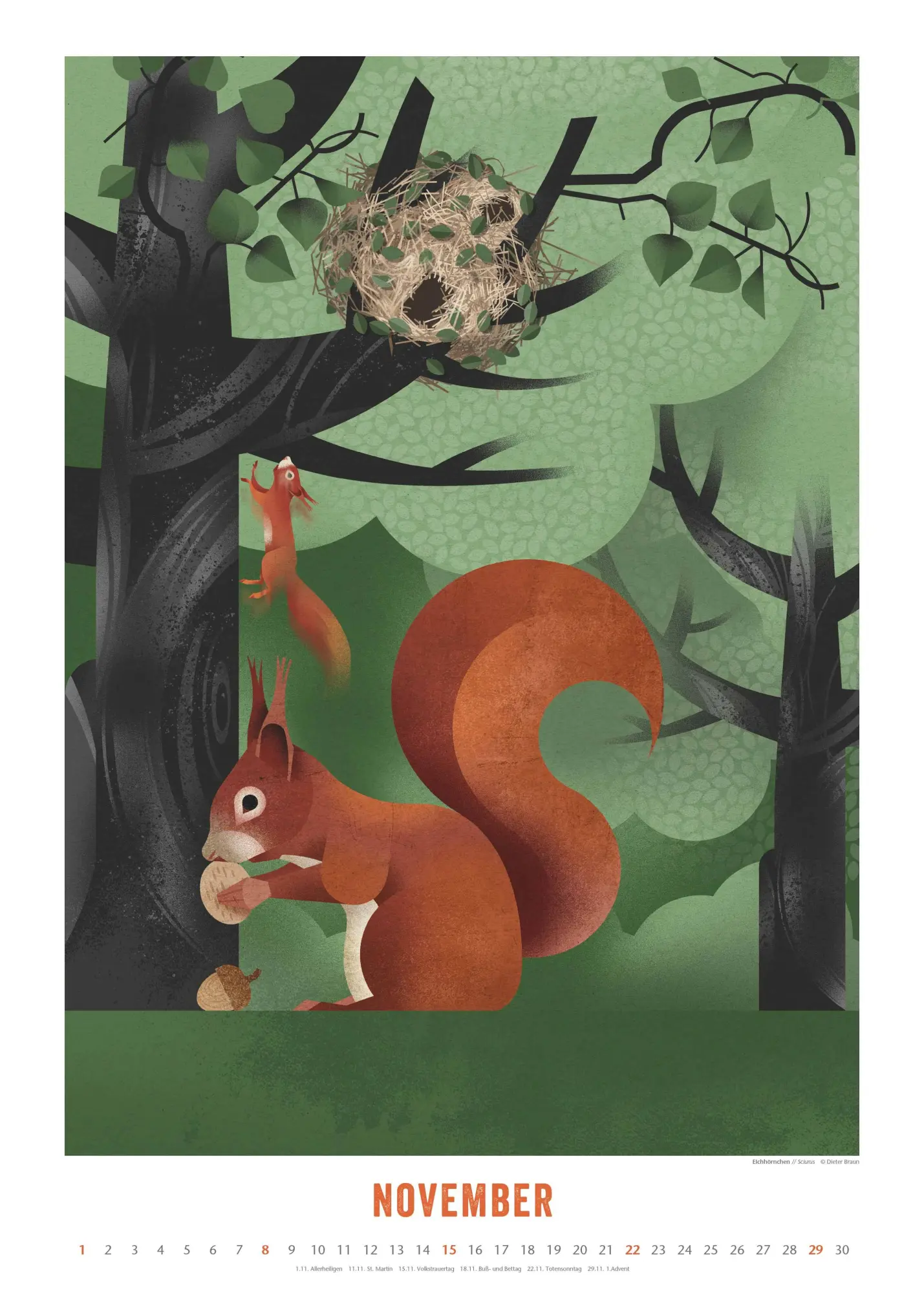 Bild: 4069095008694 | Dieter Braun: Die Welt der Tiere 2026 - Wandkalender - Format 50x70 cm