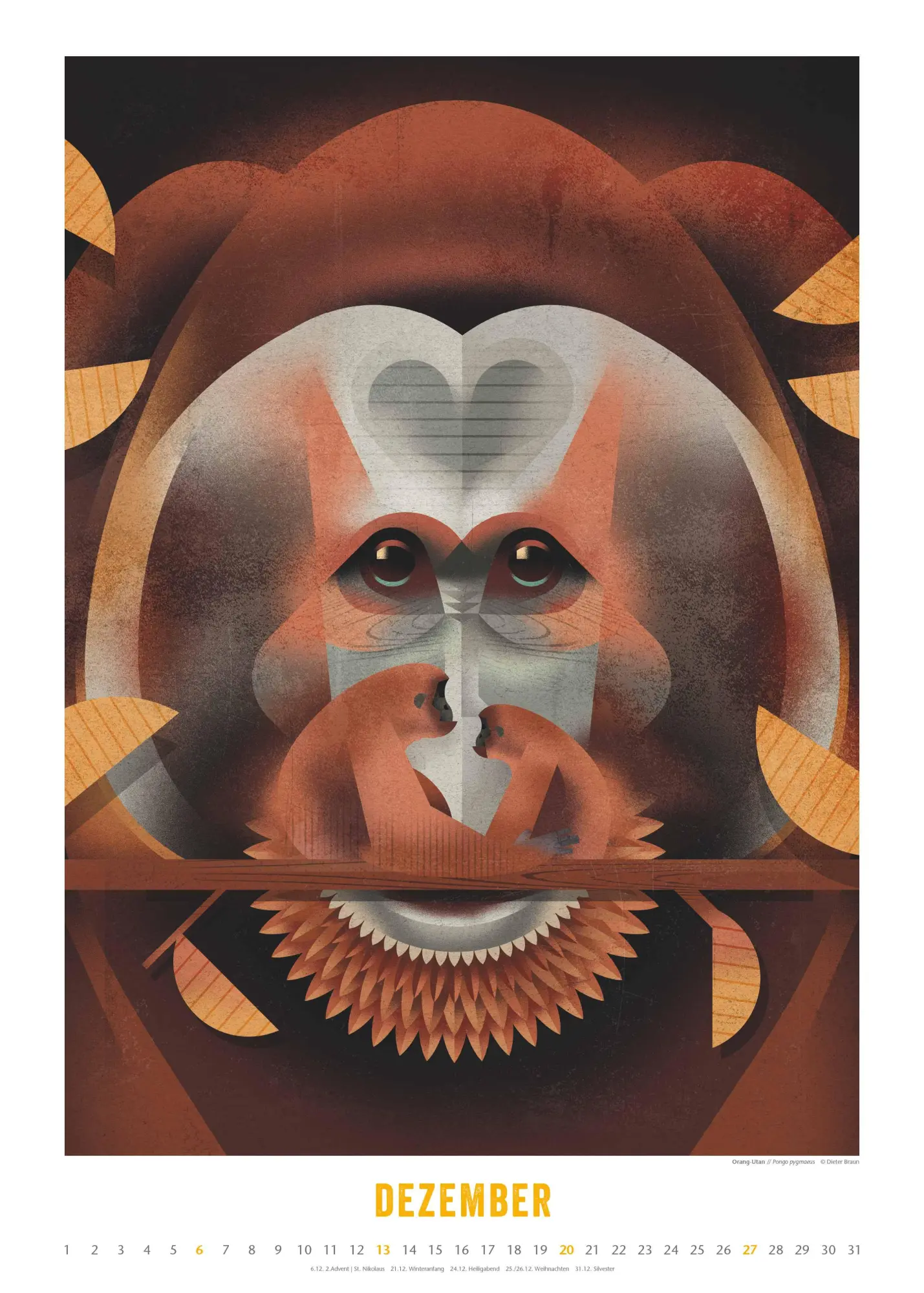 Bild: 4069095008694 | Dieter Braun: Die Welt der Tiere 2026 - Wandkalender - Format 50x70 cm