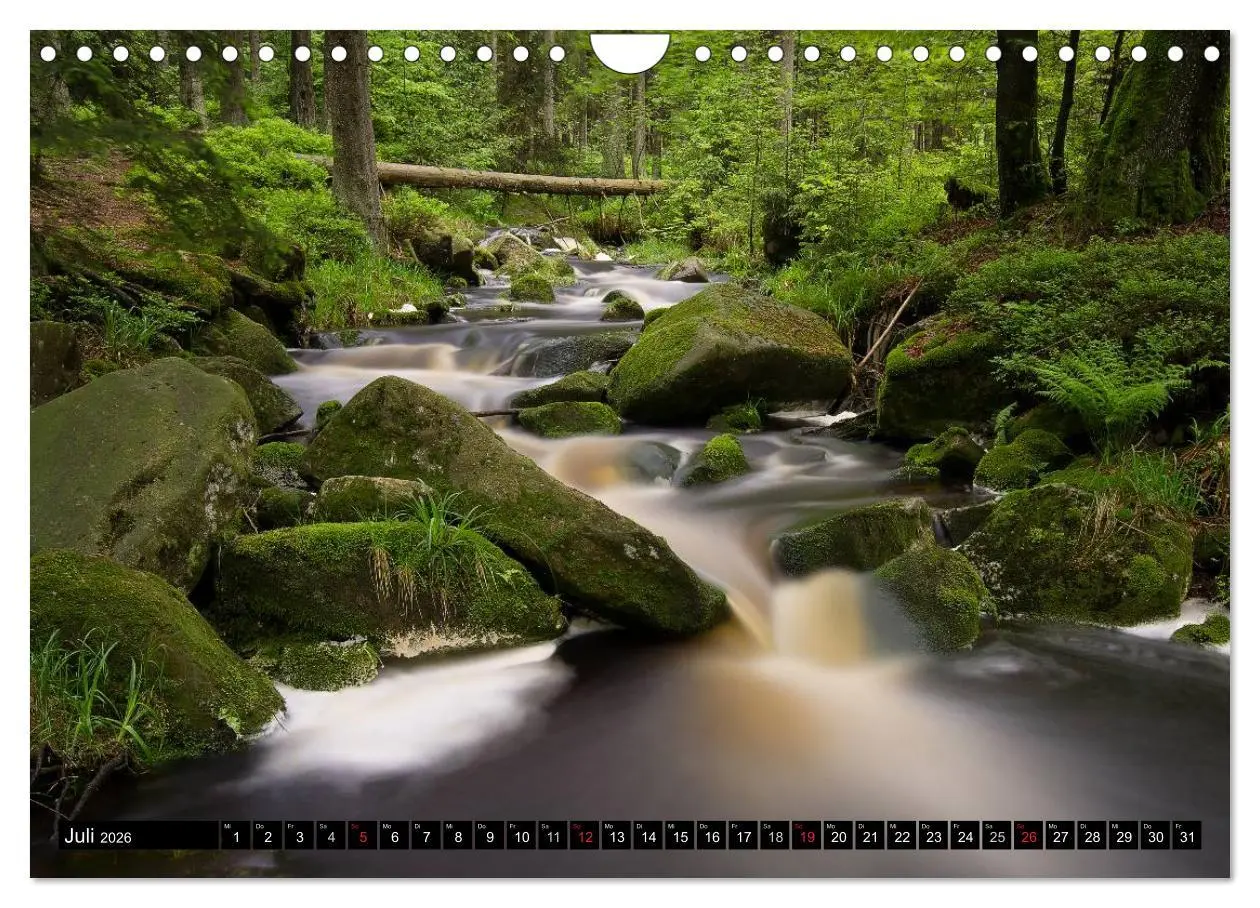 Bild: 9783516088694 | Zauberhafter Harz (Wandkalender 2026 DIN A4 quer), CALVENDO...