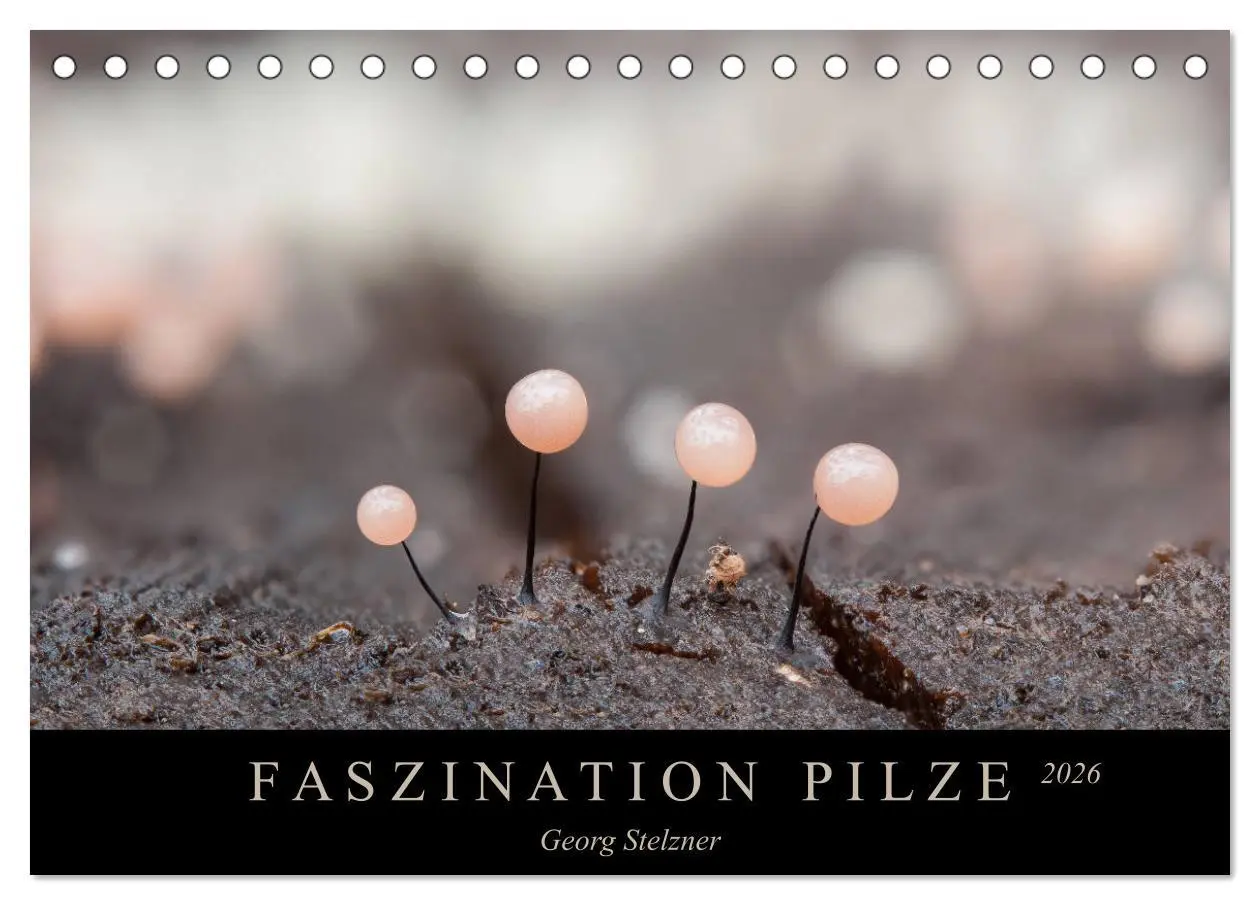 Cover: 9783457748794 | FASZINATION PILZE 2026 (Tischkalender 2026 DIN A5 quer), CALVENDO...