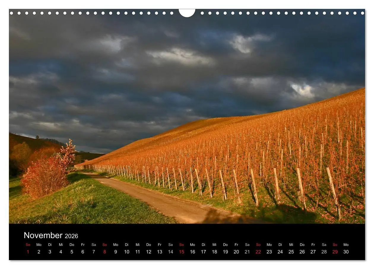 Bild: 9783516218794 | Die Ortenau (Wandkalender 2026 DIN A3 quer), CALVENDO Monatskalender