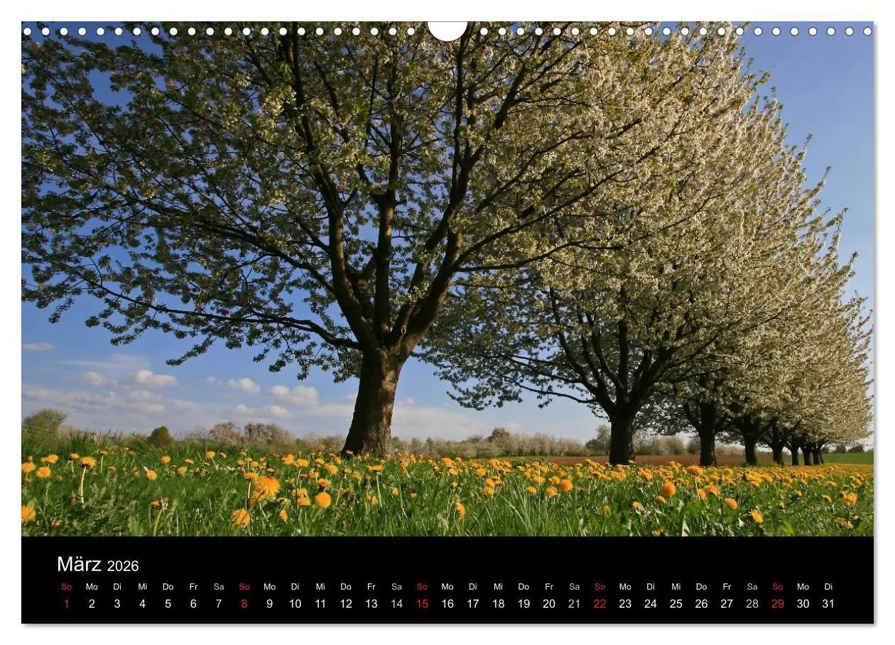 Bild: 9783516218794 | Die Ortenau (Wandkalender 2026 DIN A3 quer), CALVENDO Monatskalender