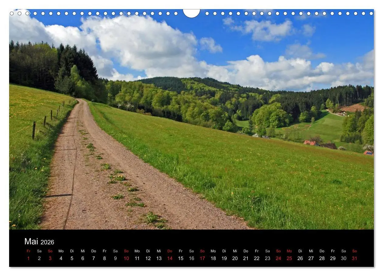 Bild: 9783516218794 | Die Ortenau (Wandkalender 2026 DIN A3 quer), CALVENDO Monatskalender