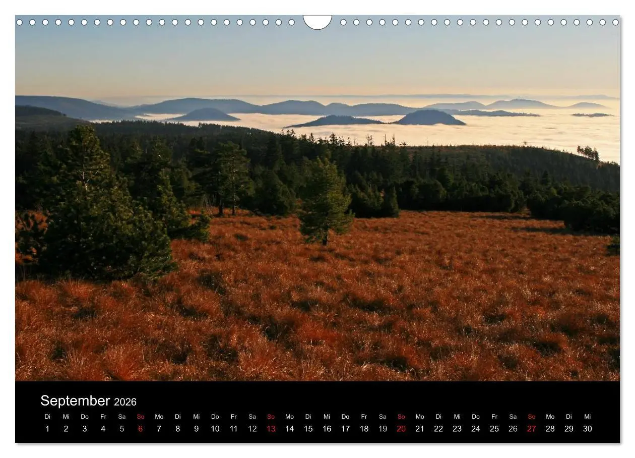 Bild: 9783516218794 | Die Ortenau (Wandkalender 2026 DIN A3 quer), CALVENDO Monatskalender