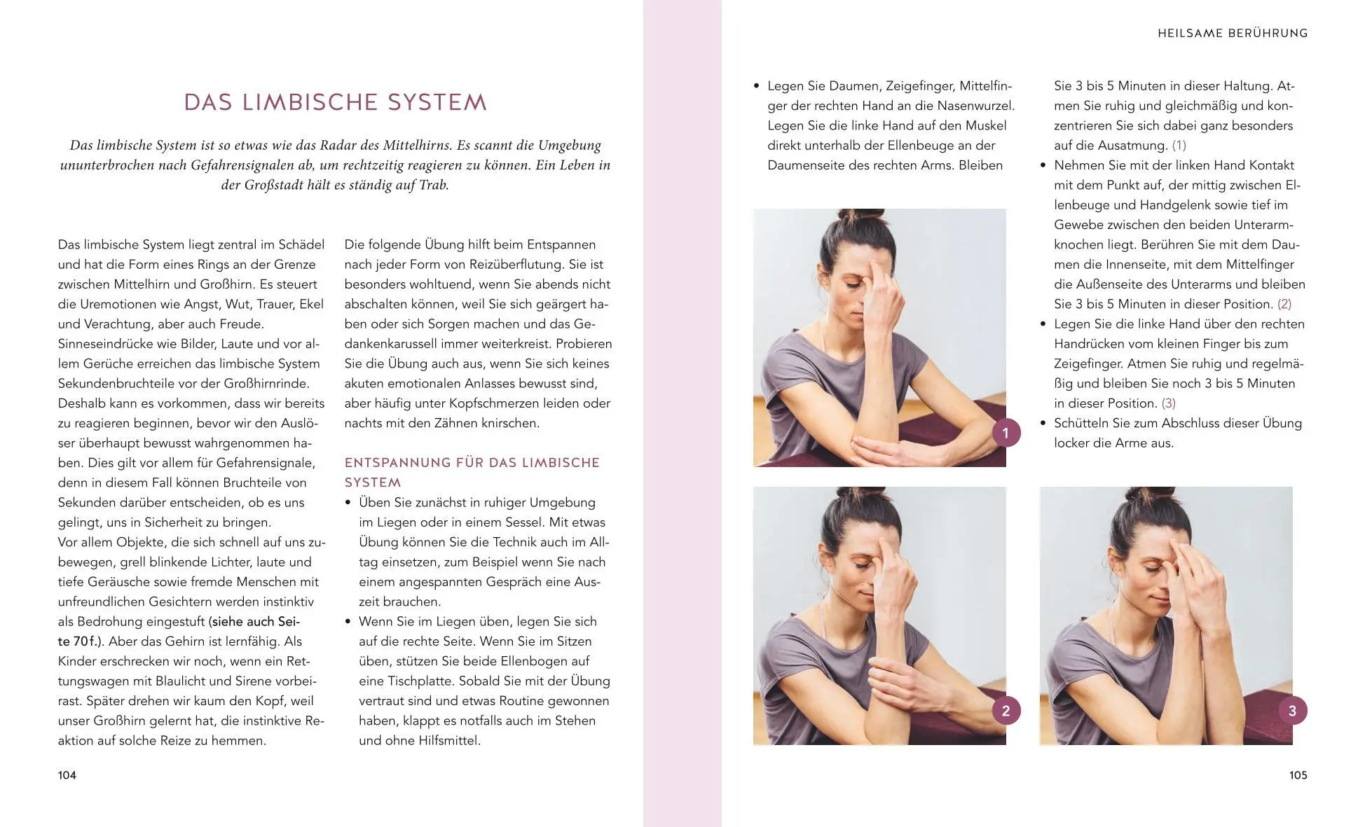 Bild: 9783833878794 | Das Vagus-Training | Ellen Fischer | Taschenbuch | Alternativheilkunde