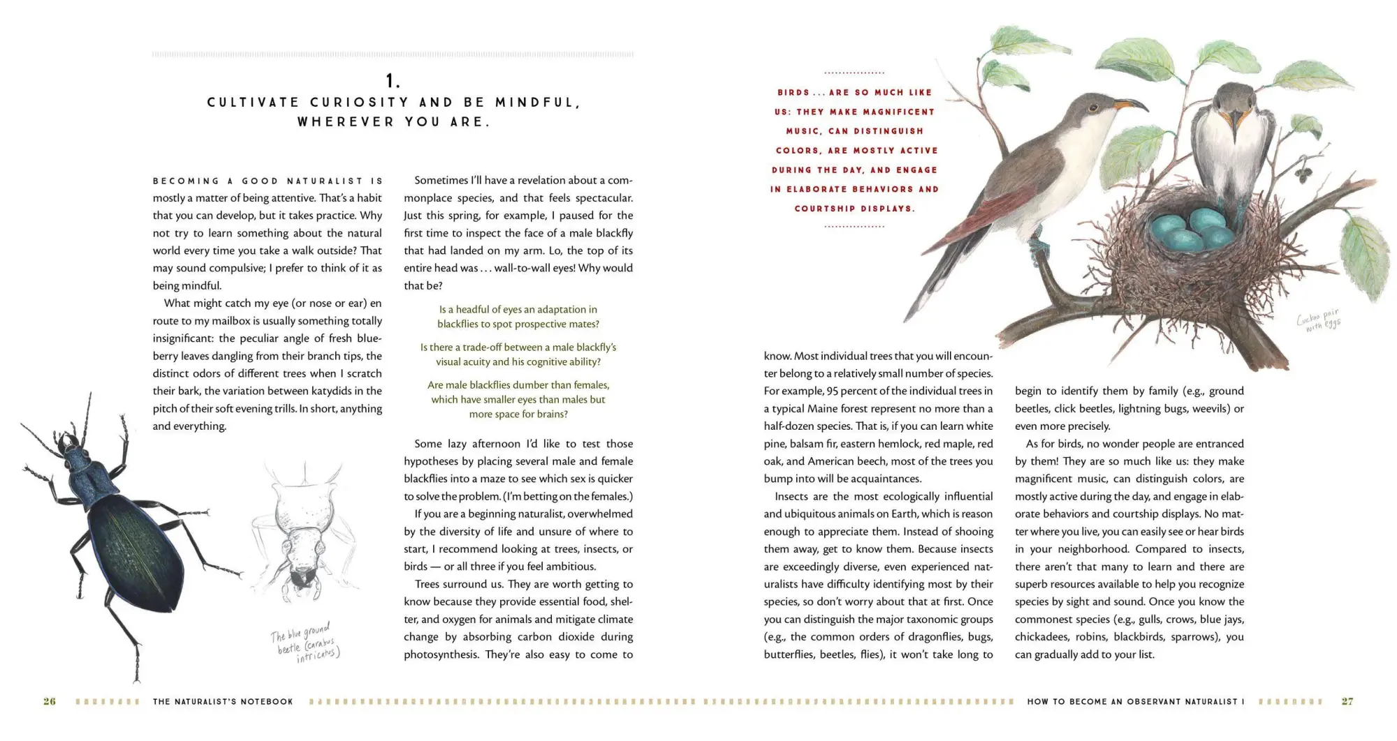 Bild: 9781612128894 | The Naturalist's Notebook | Nathaniel T Wheelwright (u. a.) | Buch
