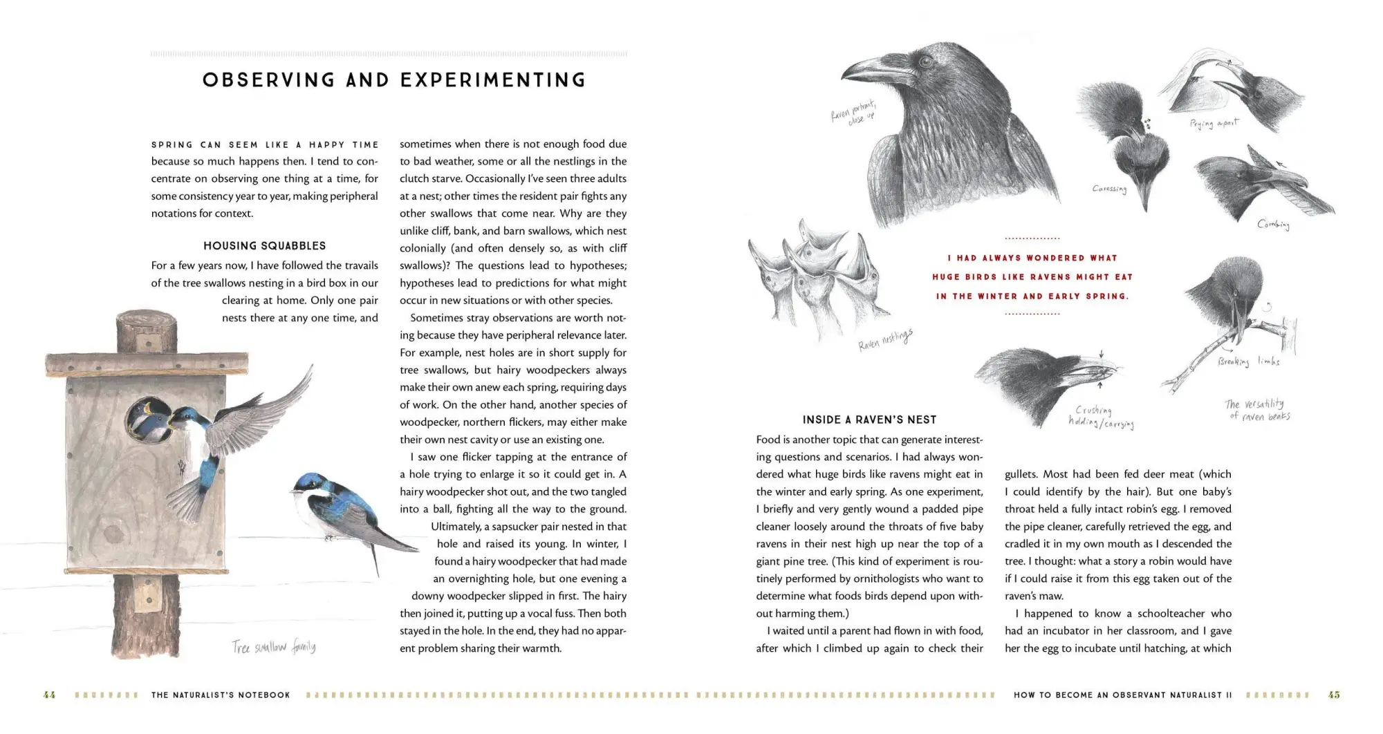 Bild: 9781612128894 | The Naturalist's Notebook | Nathaniel T Wheelwright (u. a.) | Buch