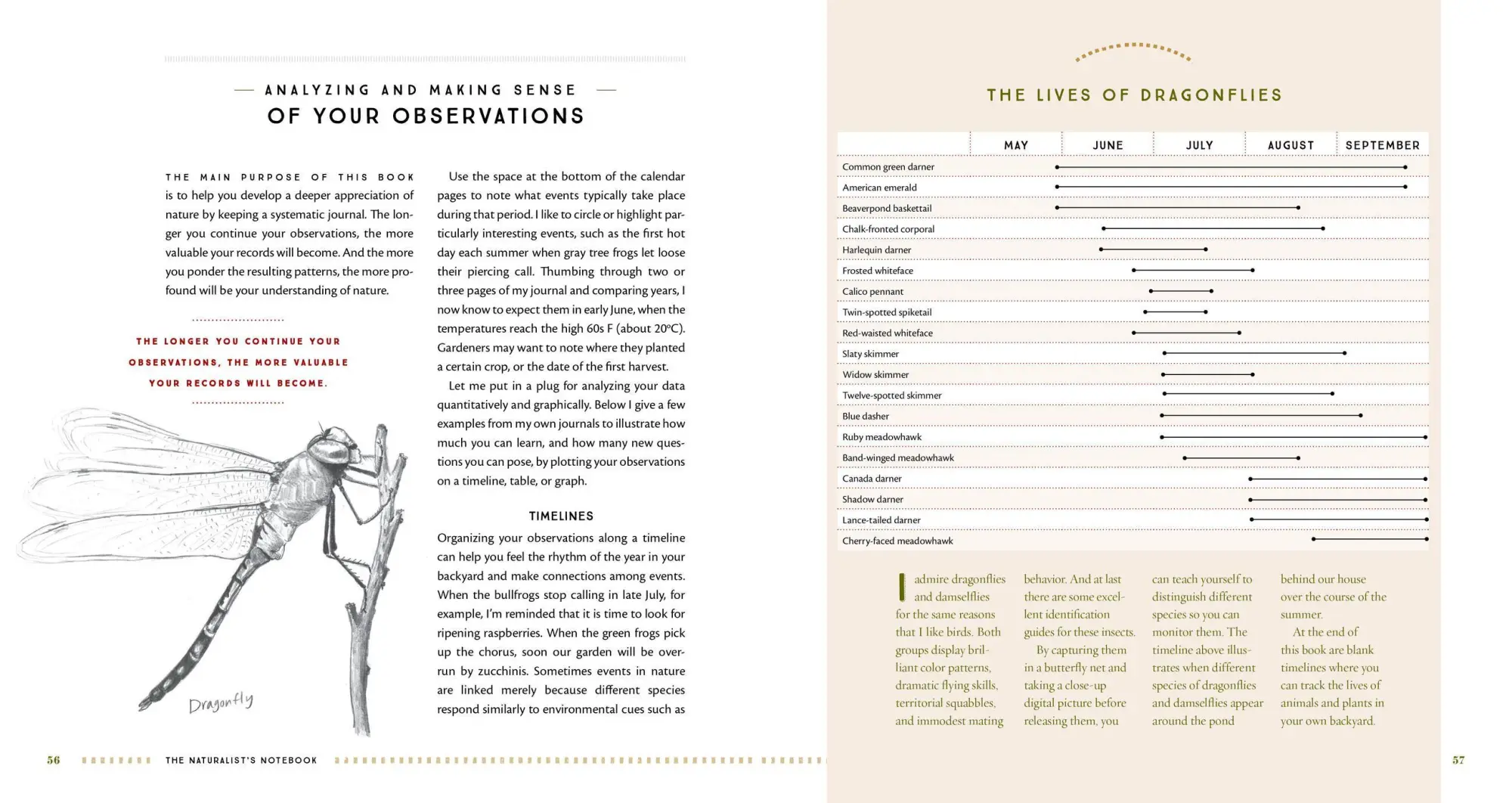 Bild: 9781612128894 | The Naturalist's Notebook | Nathaniel T Wheelwright (u. a.) | Buch