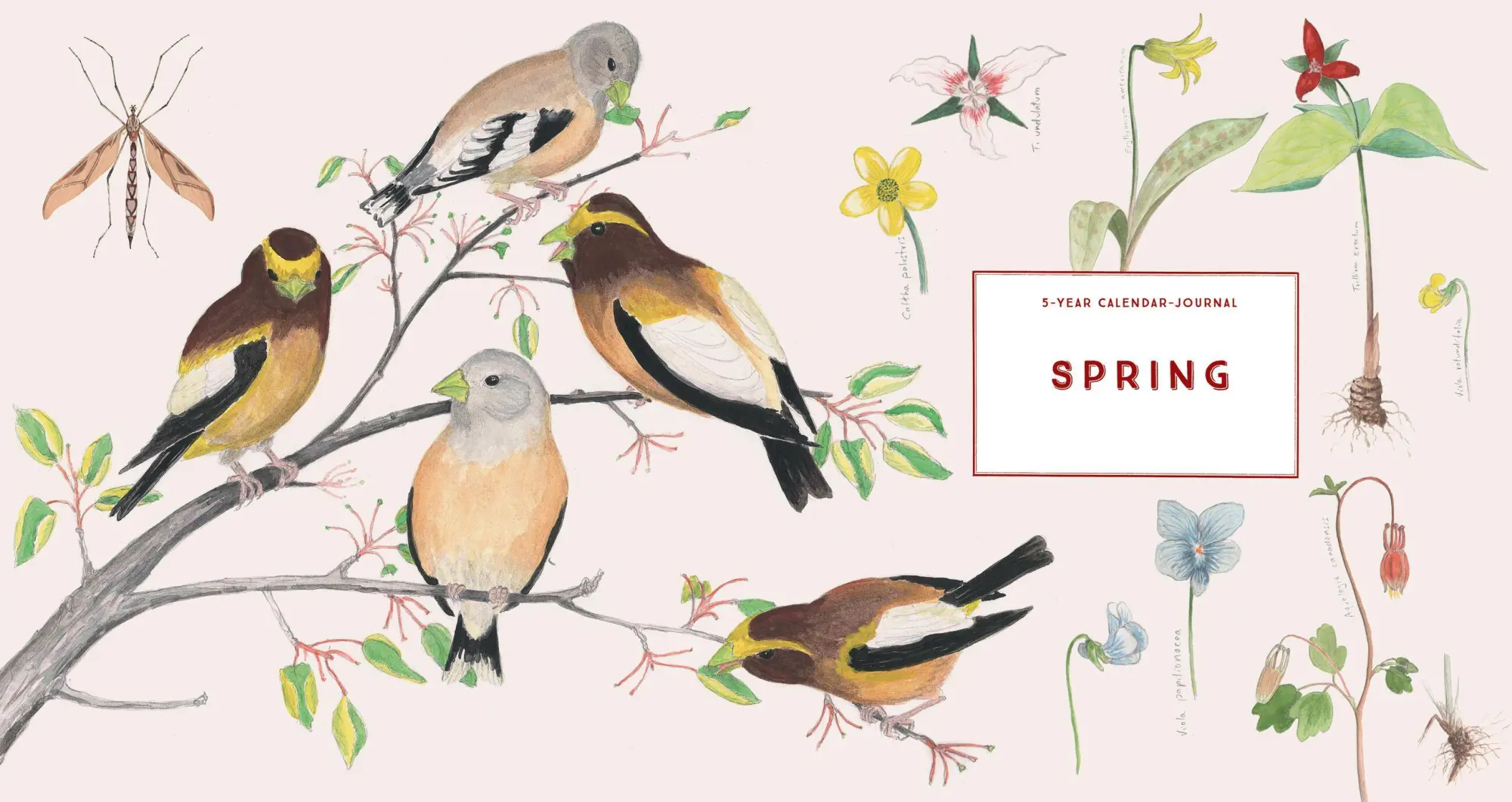 Bild: 9781612128894 | The Naturalist's Notebook | Nathaniel T Wheelwright (u. a.) | Buch