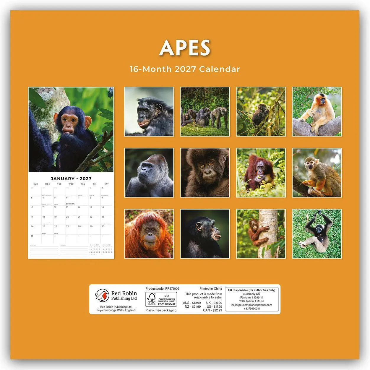 Rückseite: 9781804428894 | Apes - Affen 2027 - 16-Monatskalender | Robin Red | Kalender | 28 S.