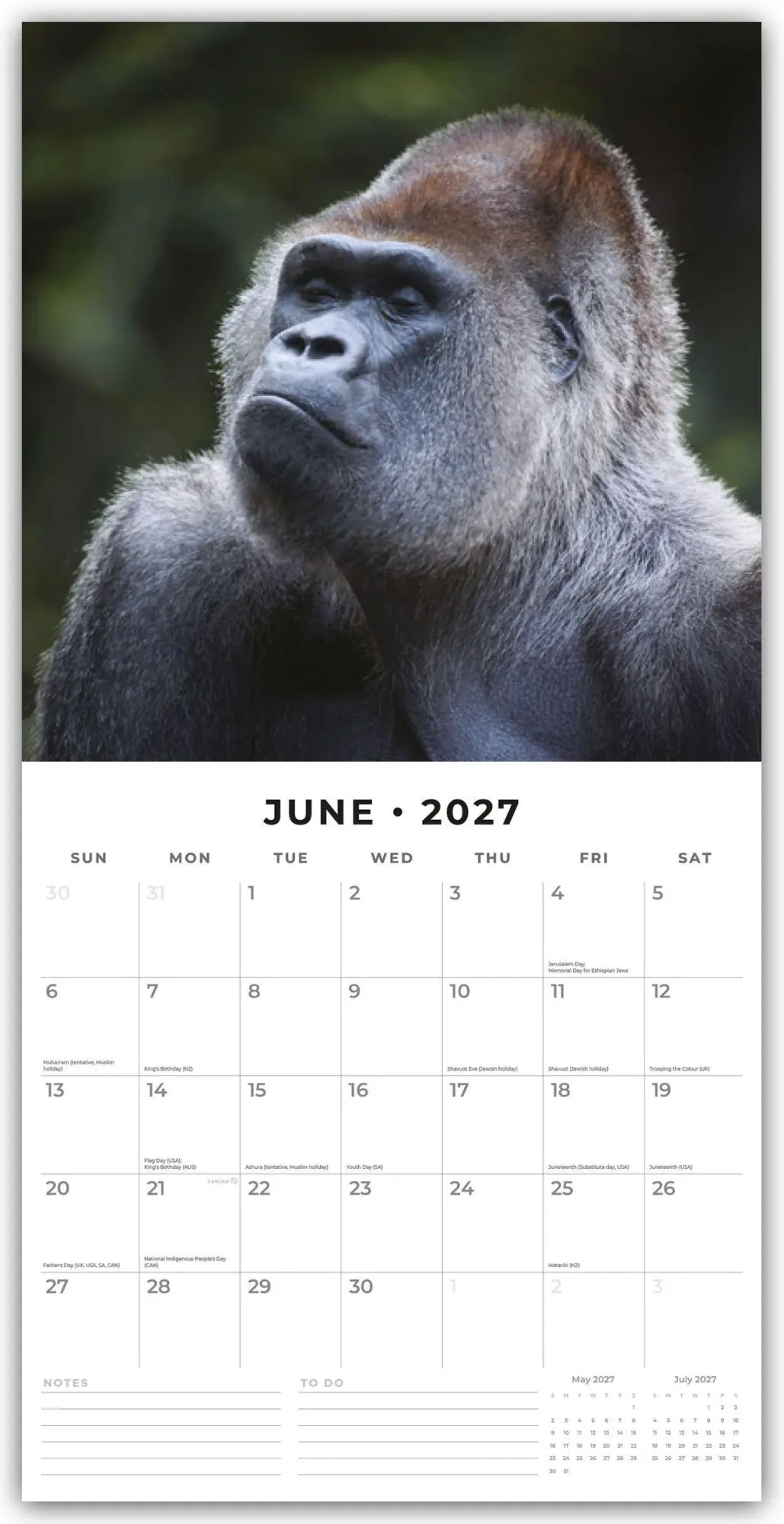 Bild: 9781804428894 | Apes - Affen 2027 - 16-Monatskalender | Robin Red | Kalender | 28 S.