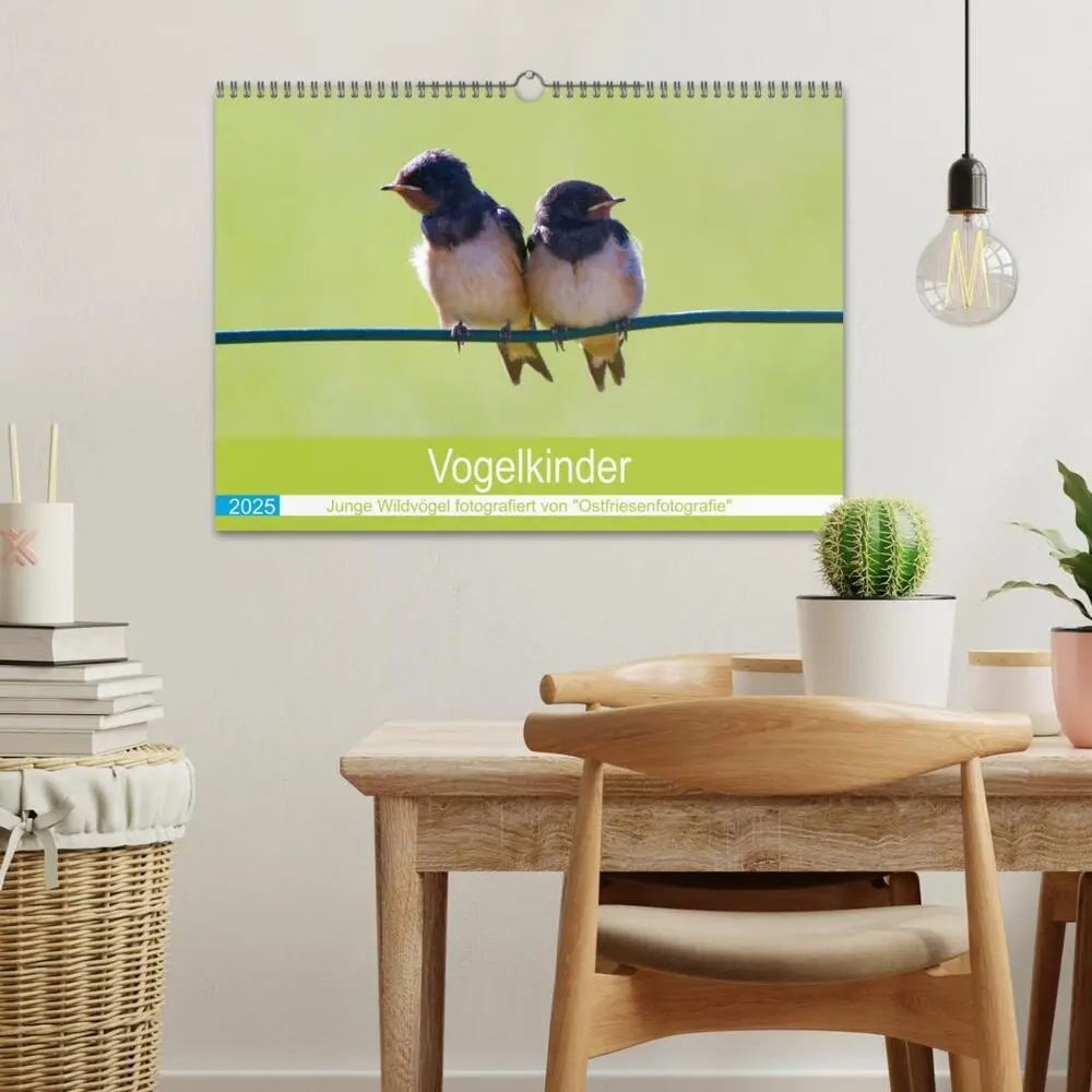 Bild: 9783435028894 | Vogelkinder - Junge Wildvögel (Wandkalender 2025 DIN A3 quer),...