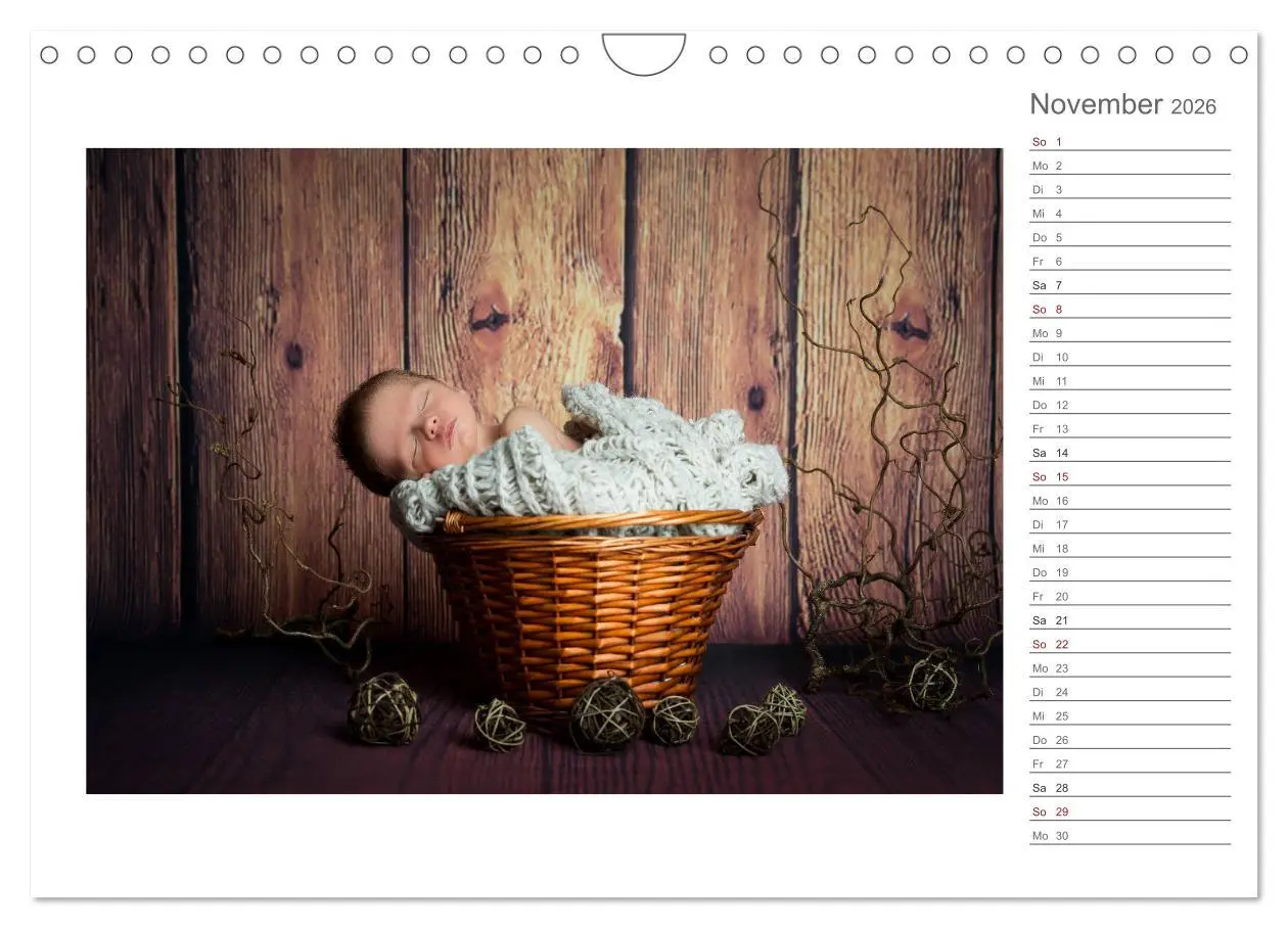 Bild: 9783457898994 | Aller Anfang ist klein - Babykalender mit Noah (Wandkalender 2026...