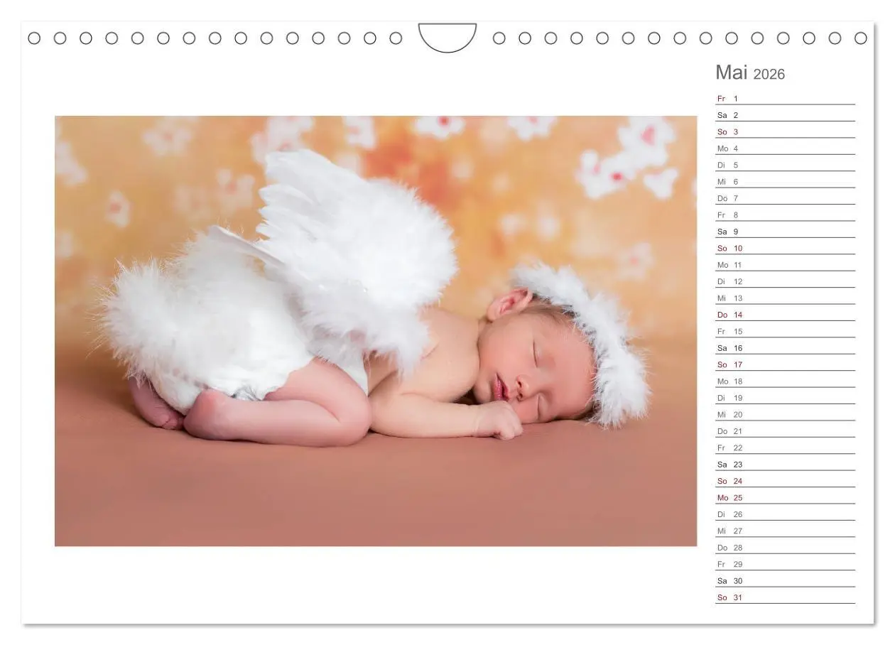 Bild: 9783457898994 | Aller Anfang ist klein - Babykalender mit Noah (Wandkalender 2026...