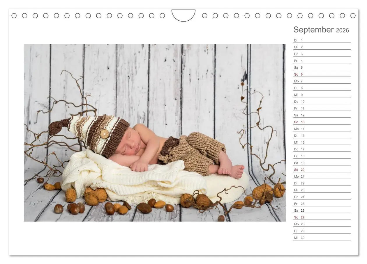 Bild: 9783457898994 | Aller Anfang ist klein - Babykalender mit Noah (Wandkalender 2026...