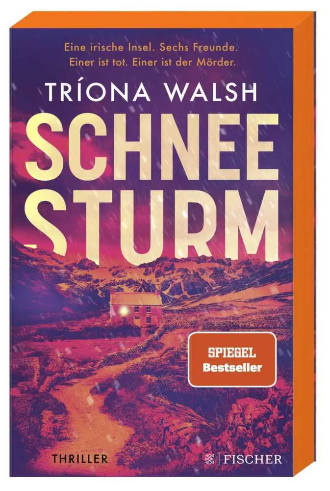 Cover: 9783596708994 | Schneesturm | Thriller Kein Entkommen von der eisigen Insel | Walsh