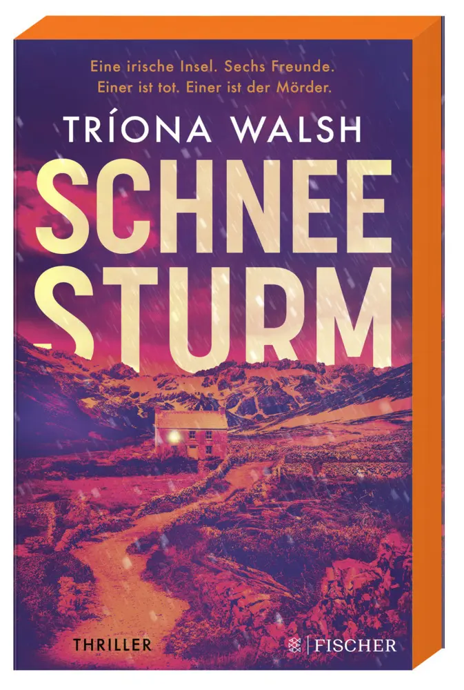 Bild: 9783596708994 | Schneesturm | Thriller Kein Entkommen von der eisigen Insel | Walsh