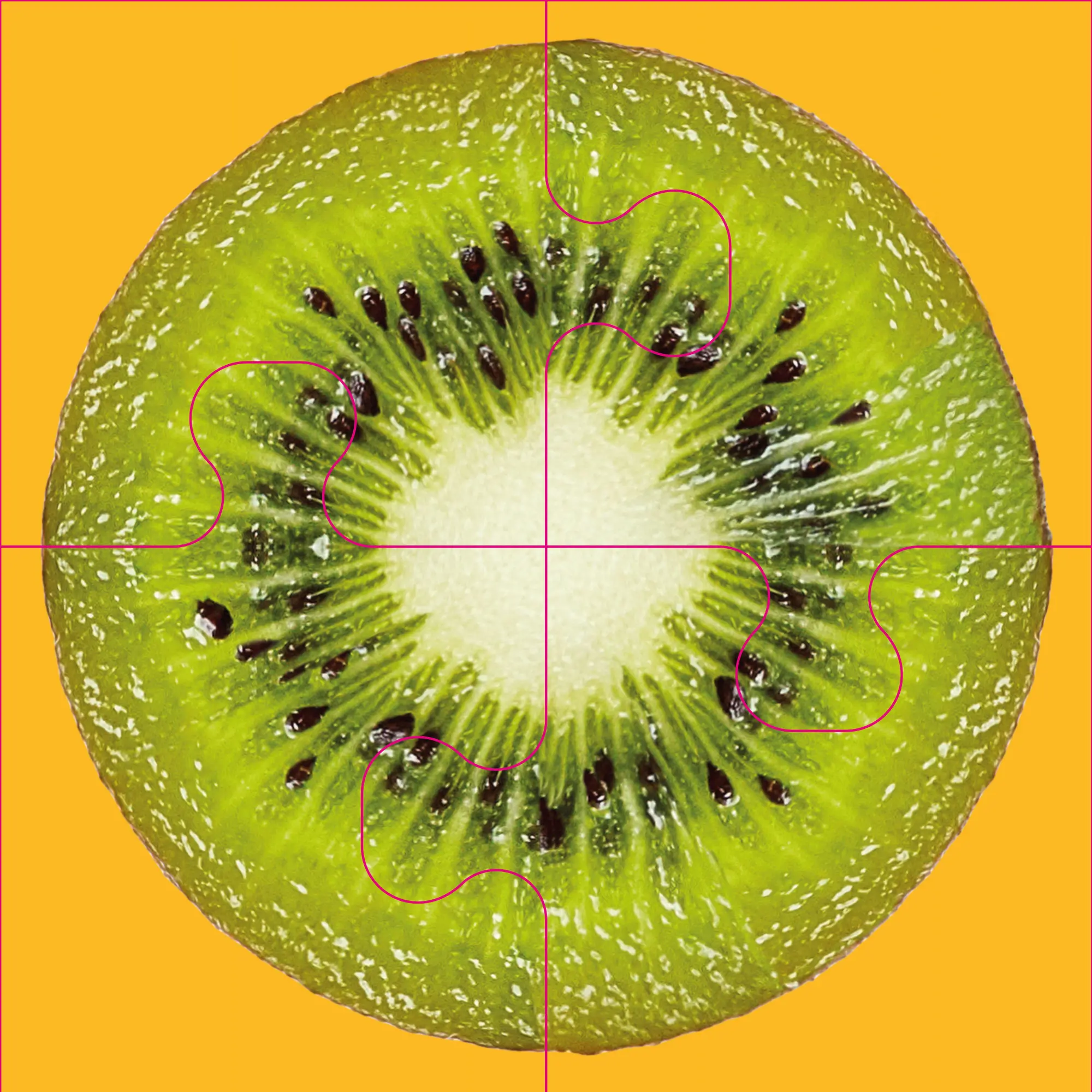 Bild: 4280000809094 | Das "Gelingt immer"-Puzzle Obst. Das Puzzle-Spiel für Senioren mit...