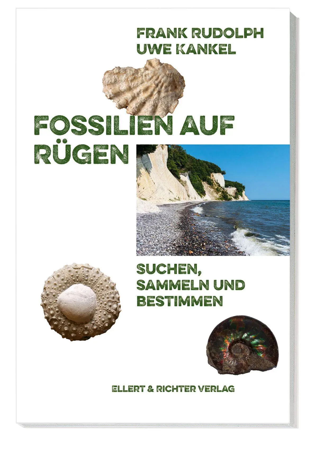 Cover: 9783831909094 | Fossilien auf Rügen | Suchen, Sammeln und Bestimmen | Rudolph (u. a.)