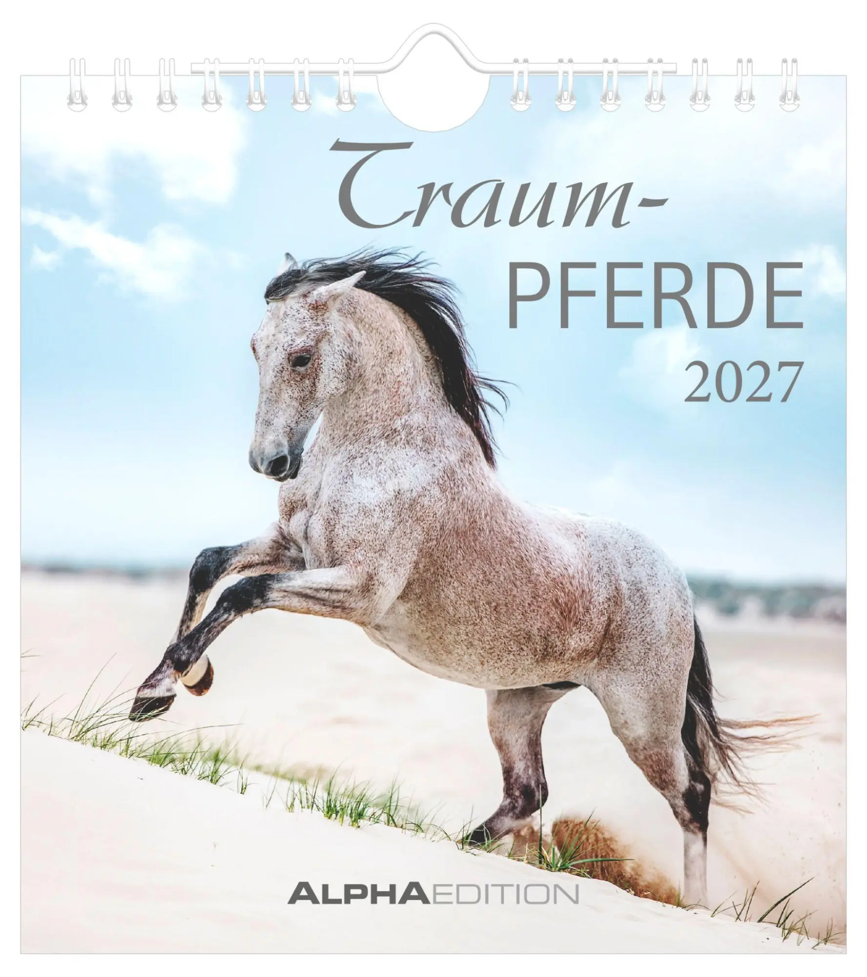 Cover: 4069095019294 | Traumpferde 2027 | Alpha Edition | Kalender | ALPHA EDITION (Kalender)