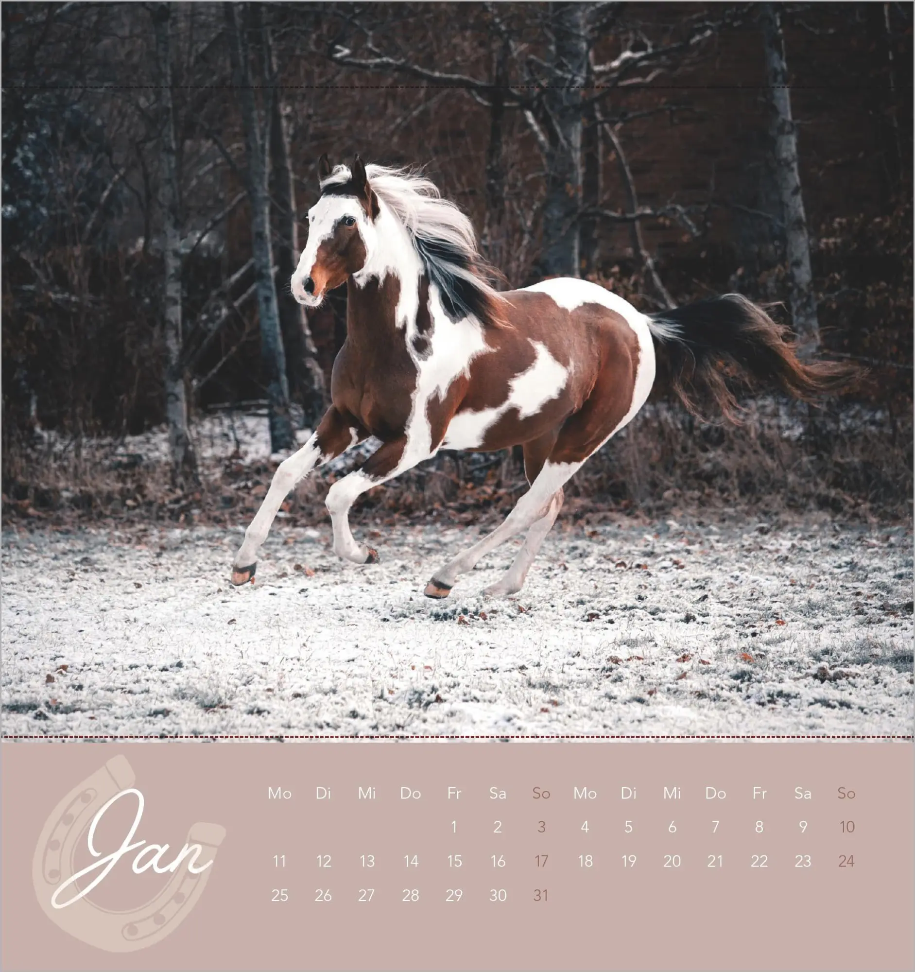 Bild: 4069095019294 | Traumpferde 2027 | Alpha Edition | Kalender | ALPHA EDITION (Kalender)
