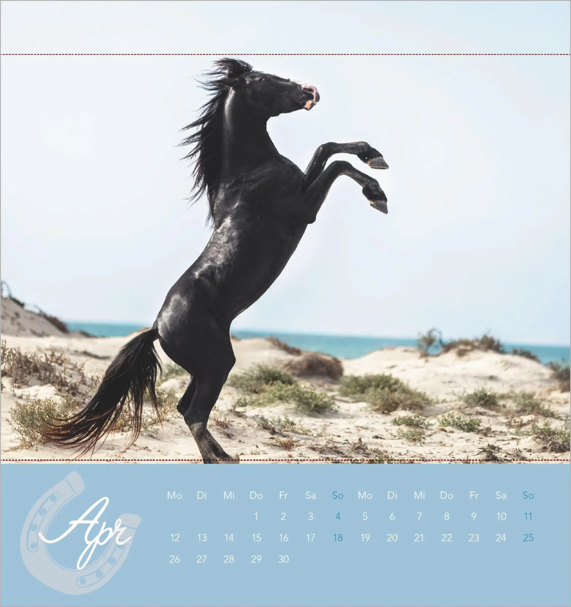 Bild: 4069095019294 | Traumpferde 2027 | Alpha Edition | Kalender | ALPHA EDITION (Kalender)