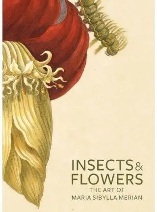 Cover: 9780892369294 | Insects and Flowers | The Art of Maria Sibylla Merian | Taschenbuch Cover: 9780892369294 | Insects and Flowers | The Art of Maria Sibylla Merian | Taschenbuch