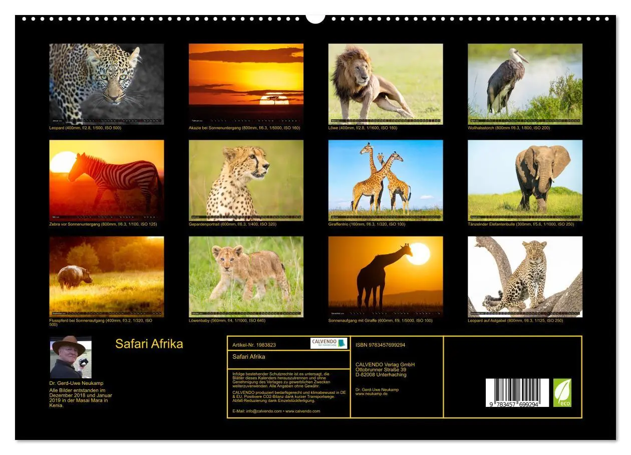 Bild: 9783457699294 | Safari Afrika (hochwertiger Premium Wandkalender 2026 DIN A2 quer),...