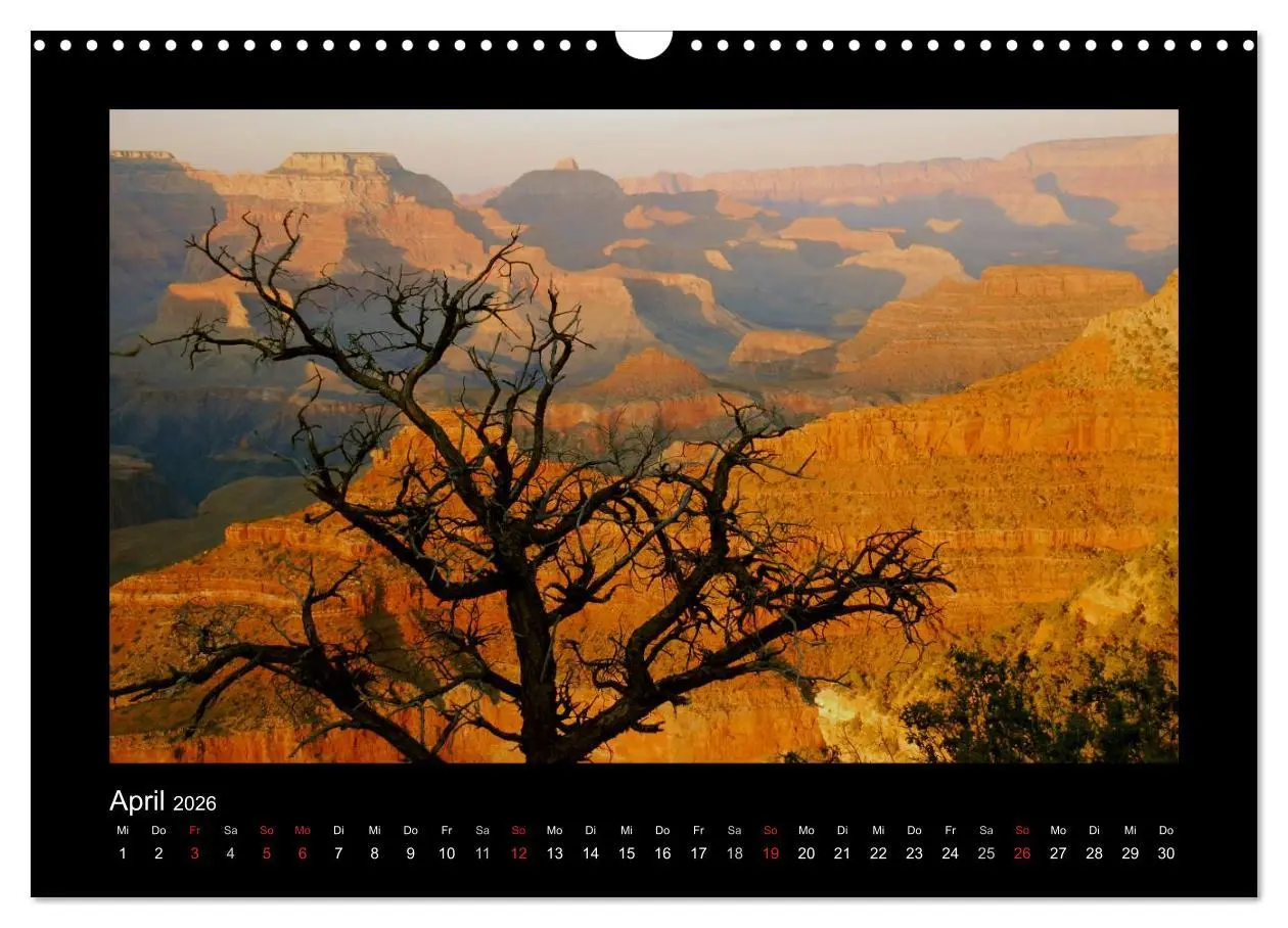 Bild: 9783516099294 | Amerika - Arizona und andere Schönheiten (Wandkalender 2026 DIN A3...