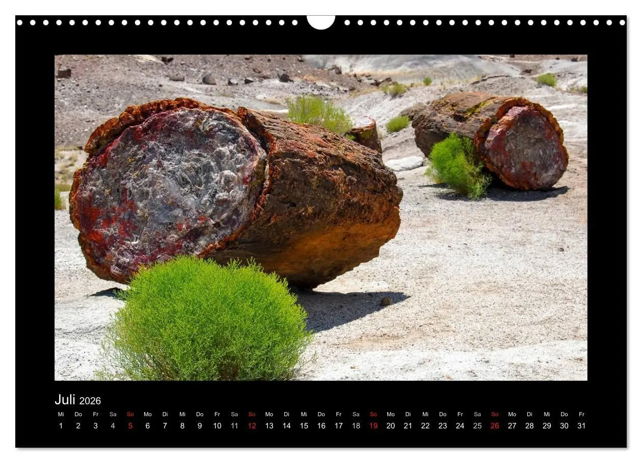 Bild: 9783516099294 | Amerika - Arizona und andere Schönheiten (Wandkalender 2026 DIN A3...