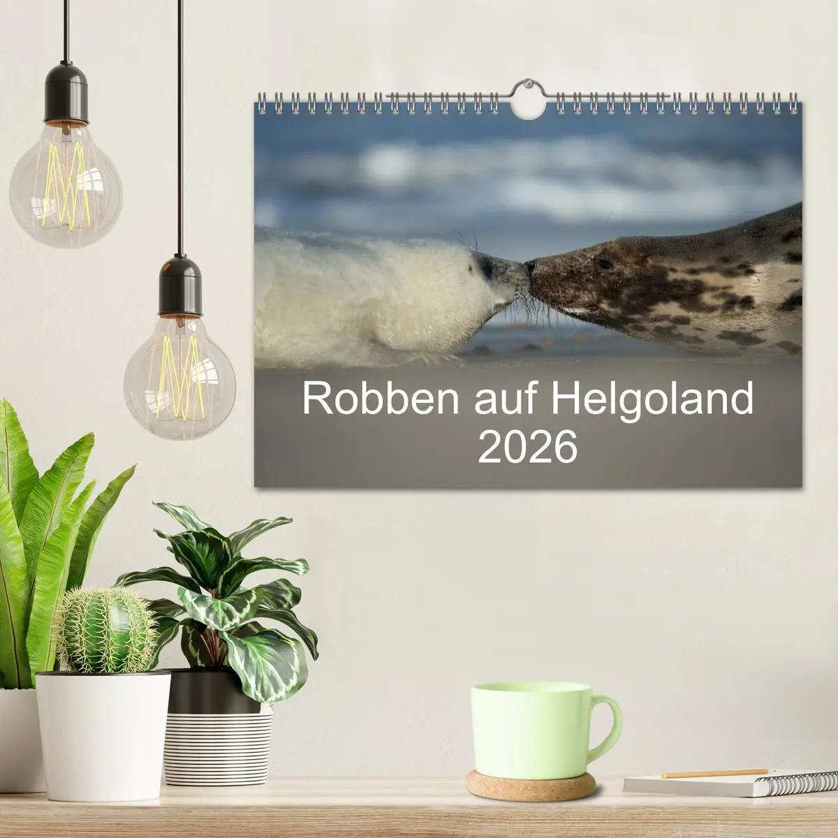 Bild: 9783516239294 | Robben auf Helgoland 2026 (Wandkalender 2026 DIN A4 quer), CALVENDO...